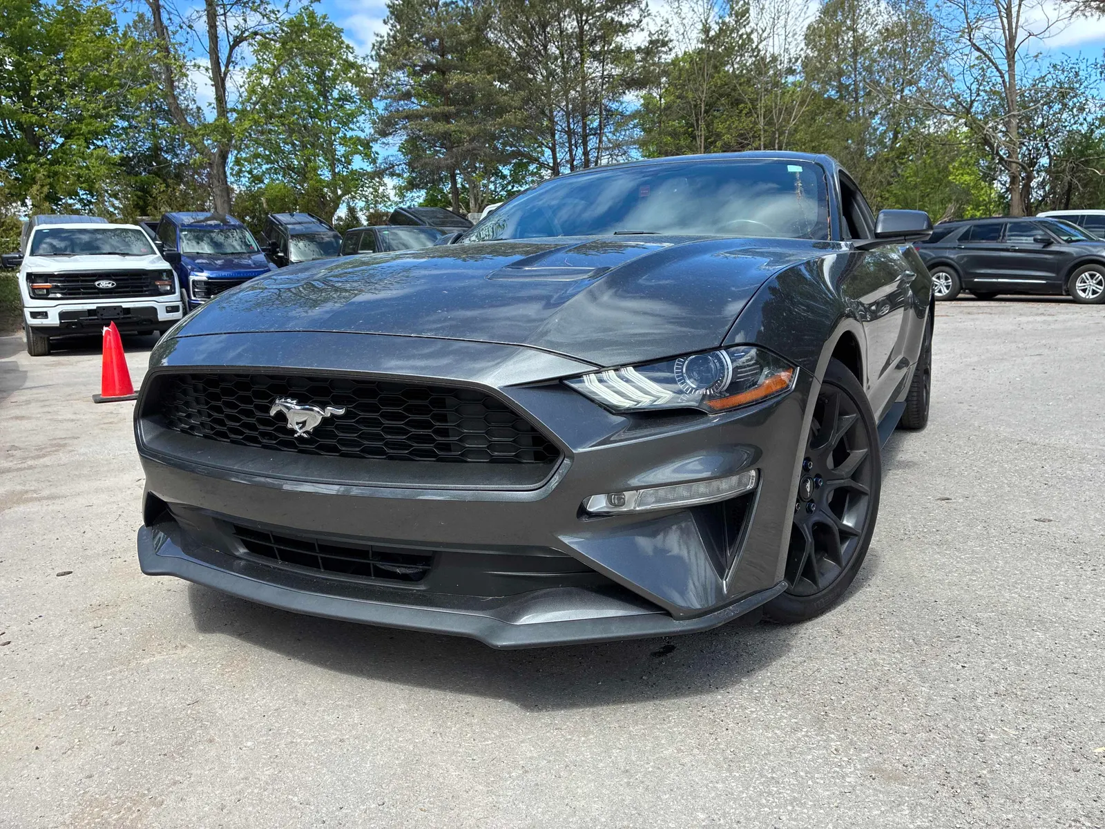 2019 Ford Mustang