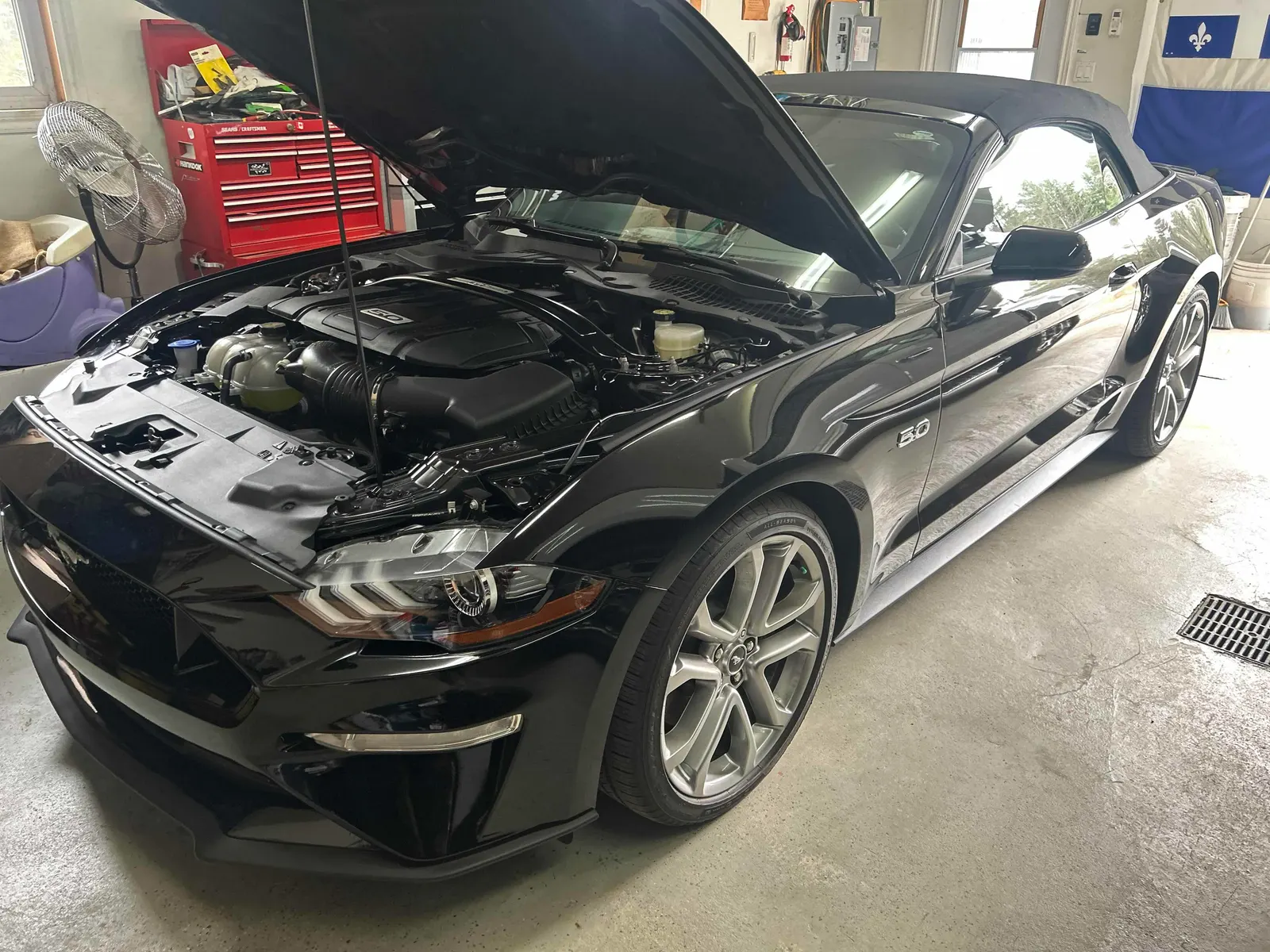 2022 Ford Mustang