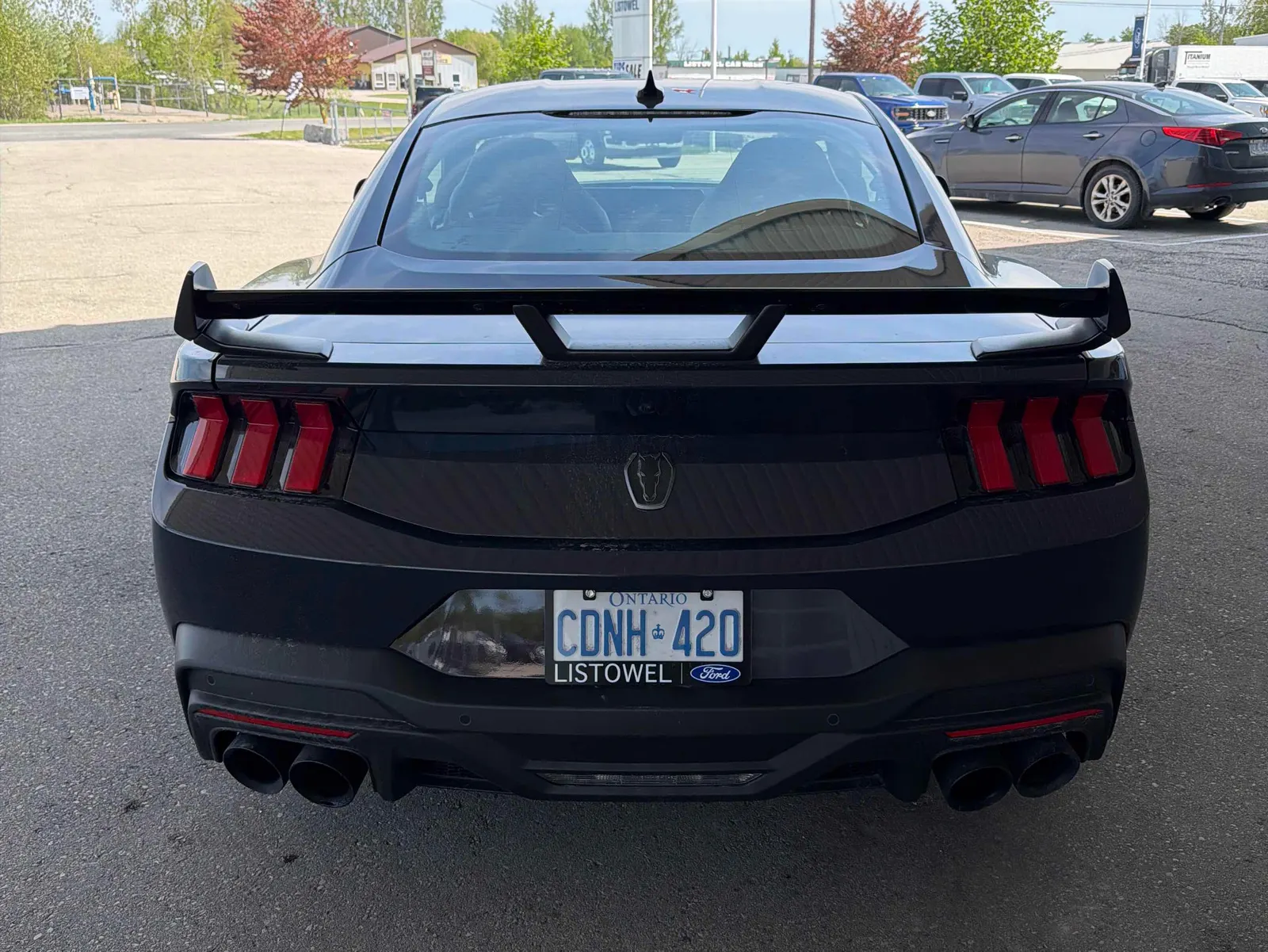 Back