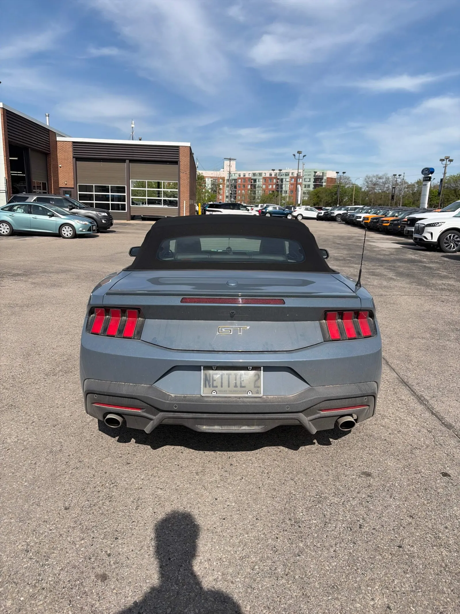 Back