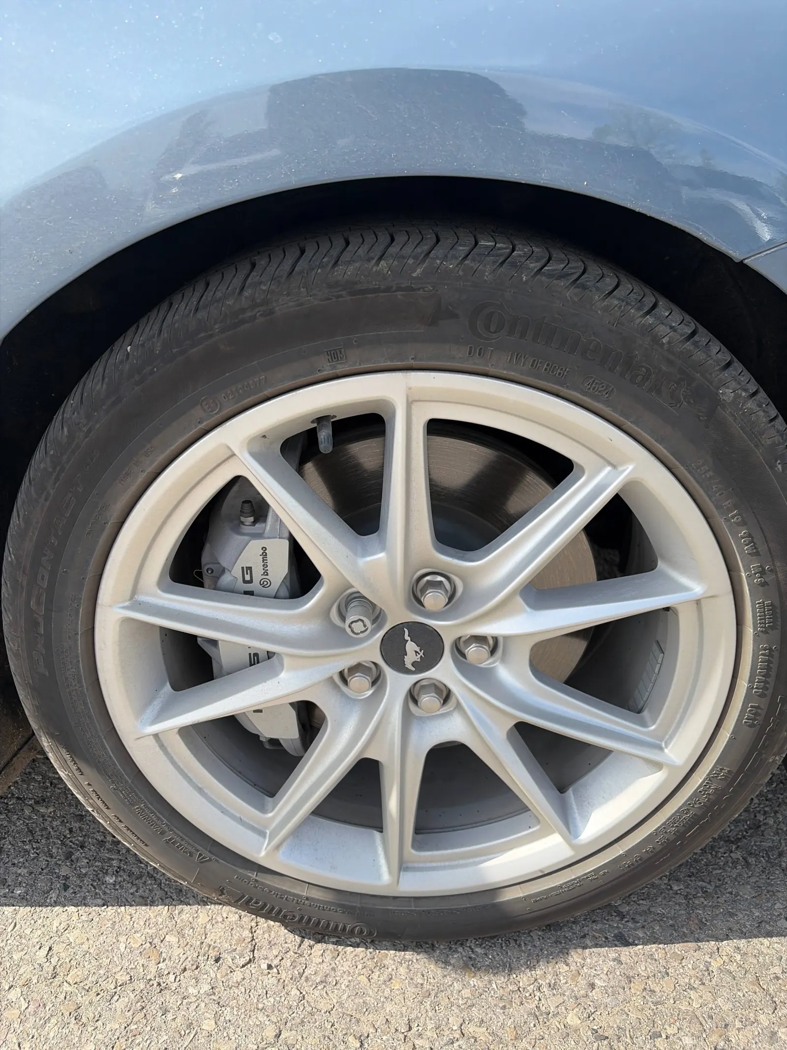 Tire