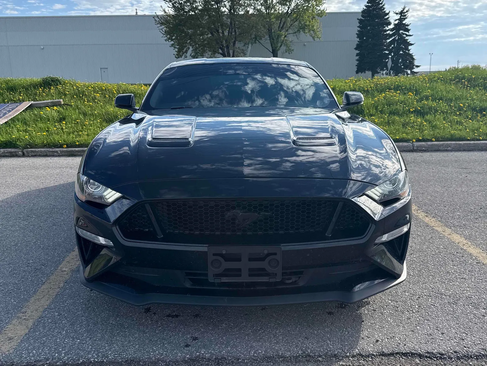 Front