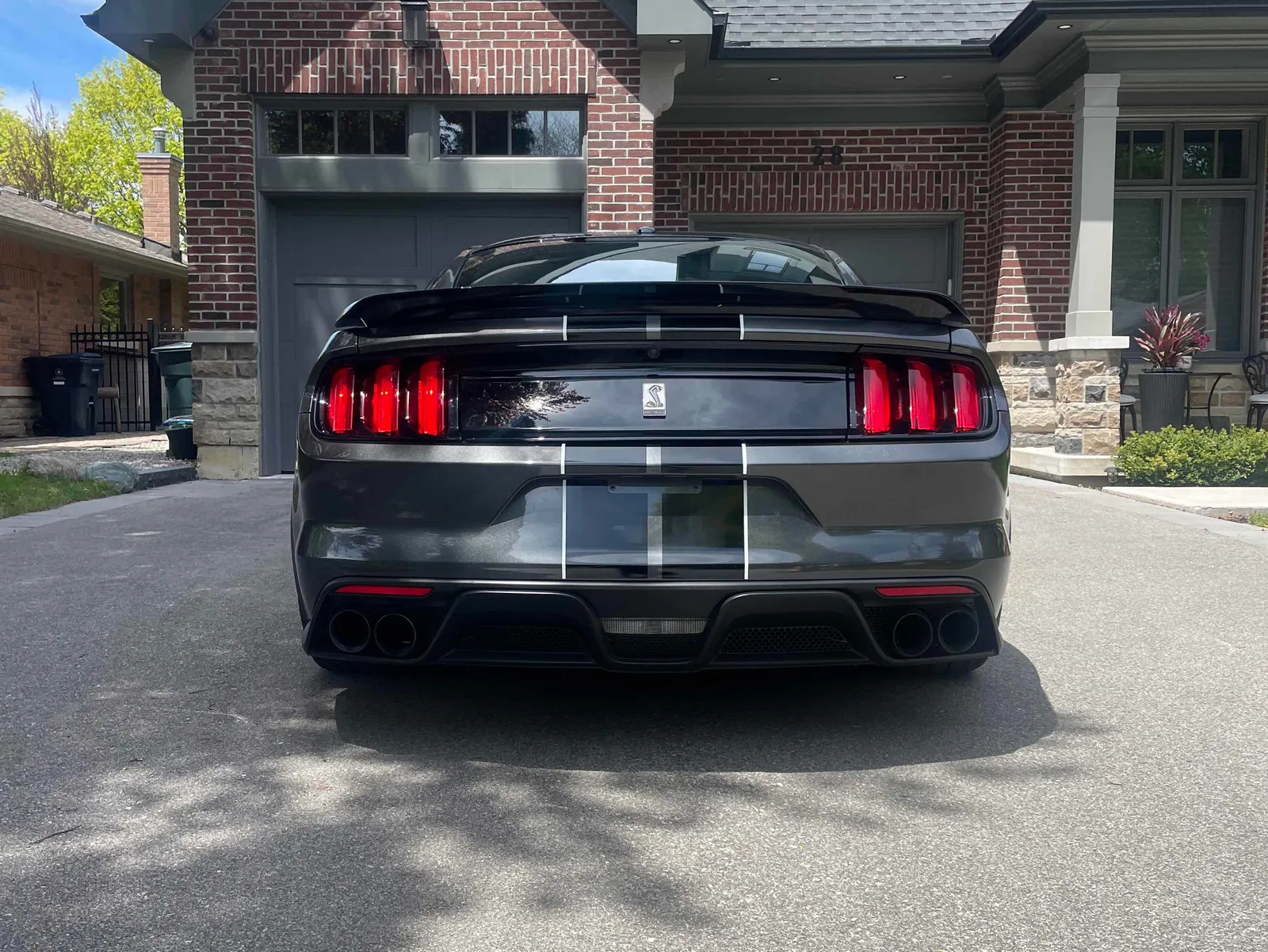 Back