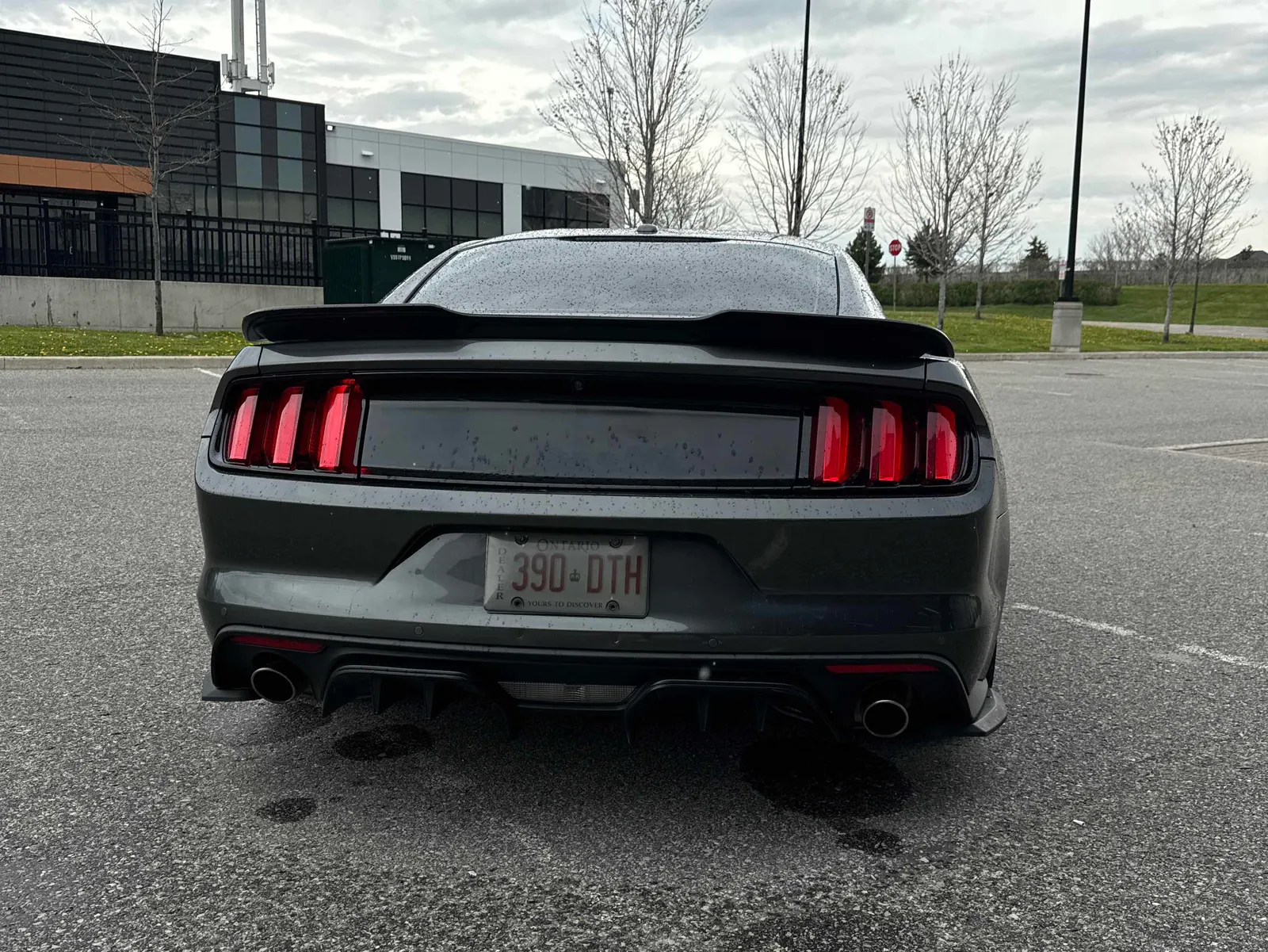 Additional Photo