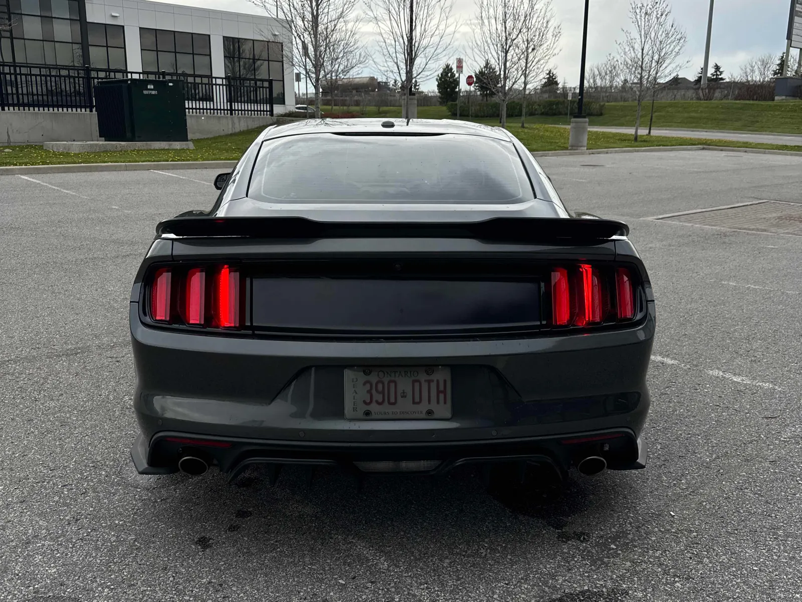 Back