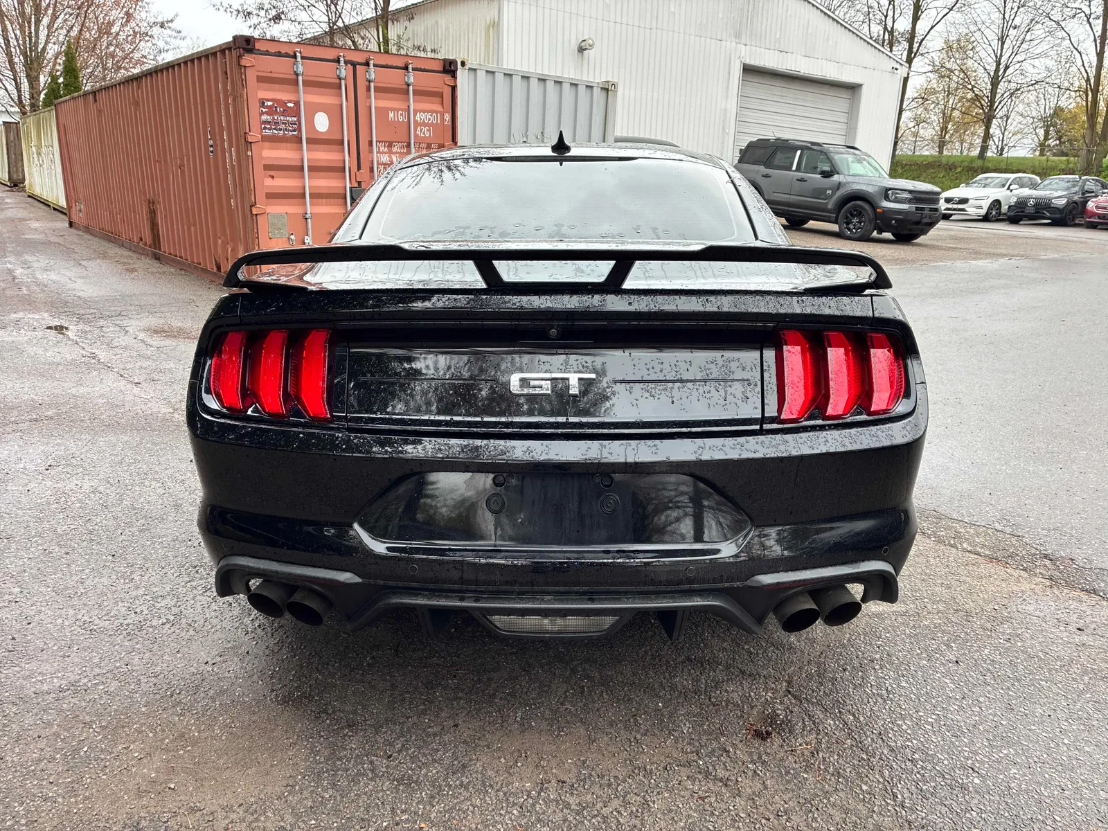Back