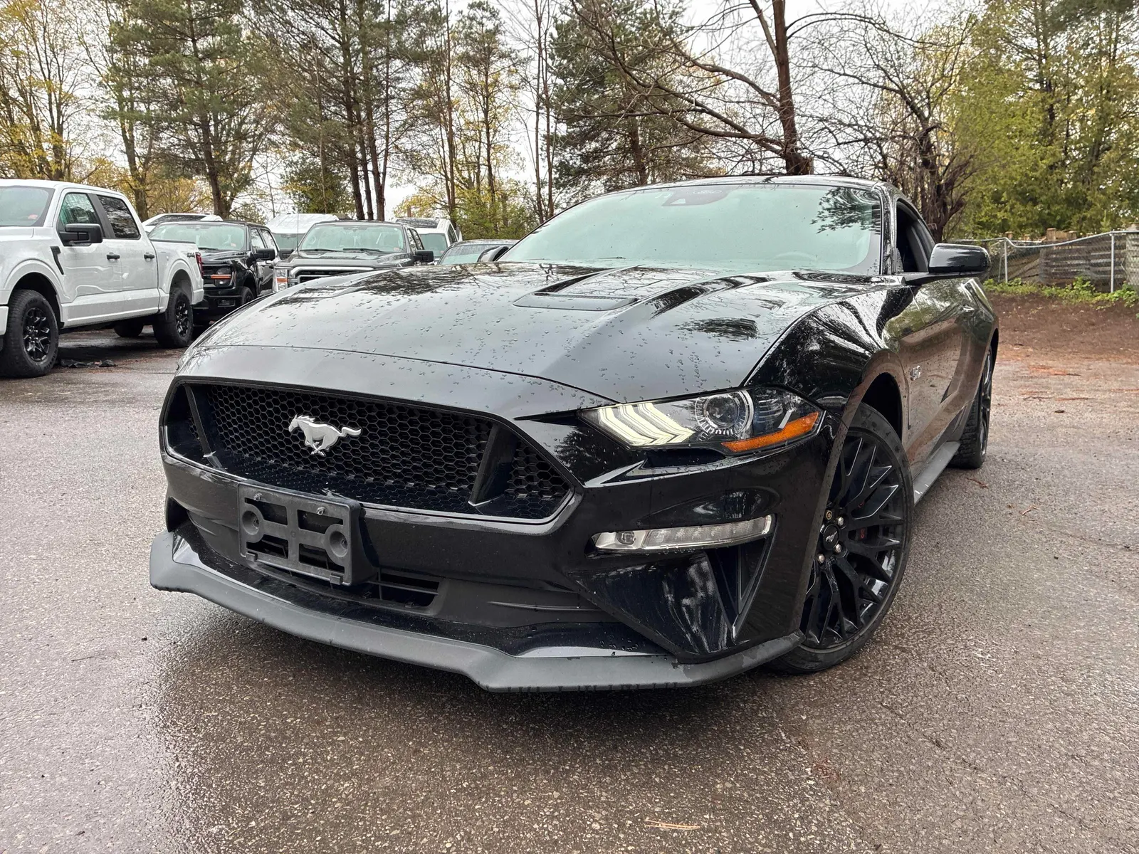2022 Ford Mustang