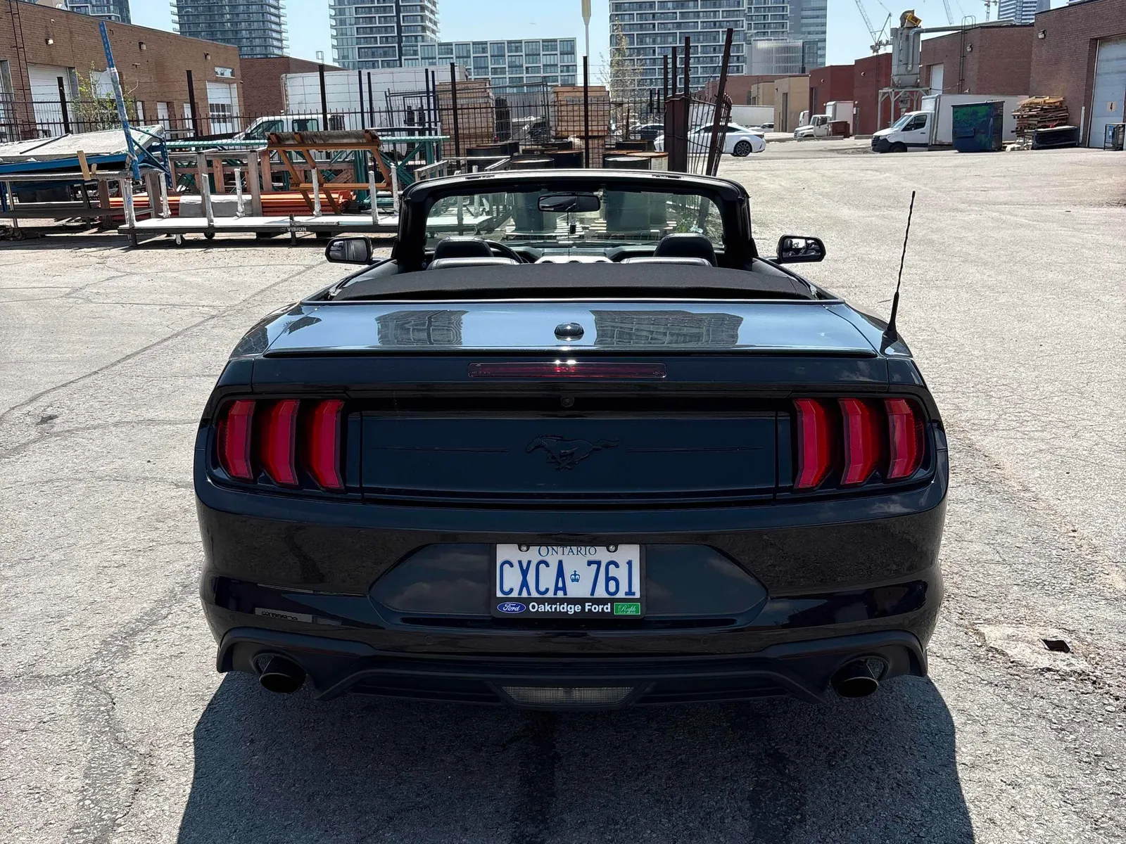 Back