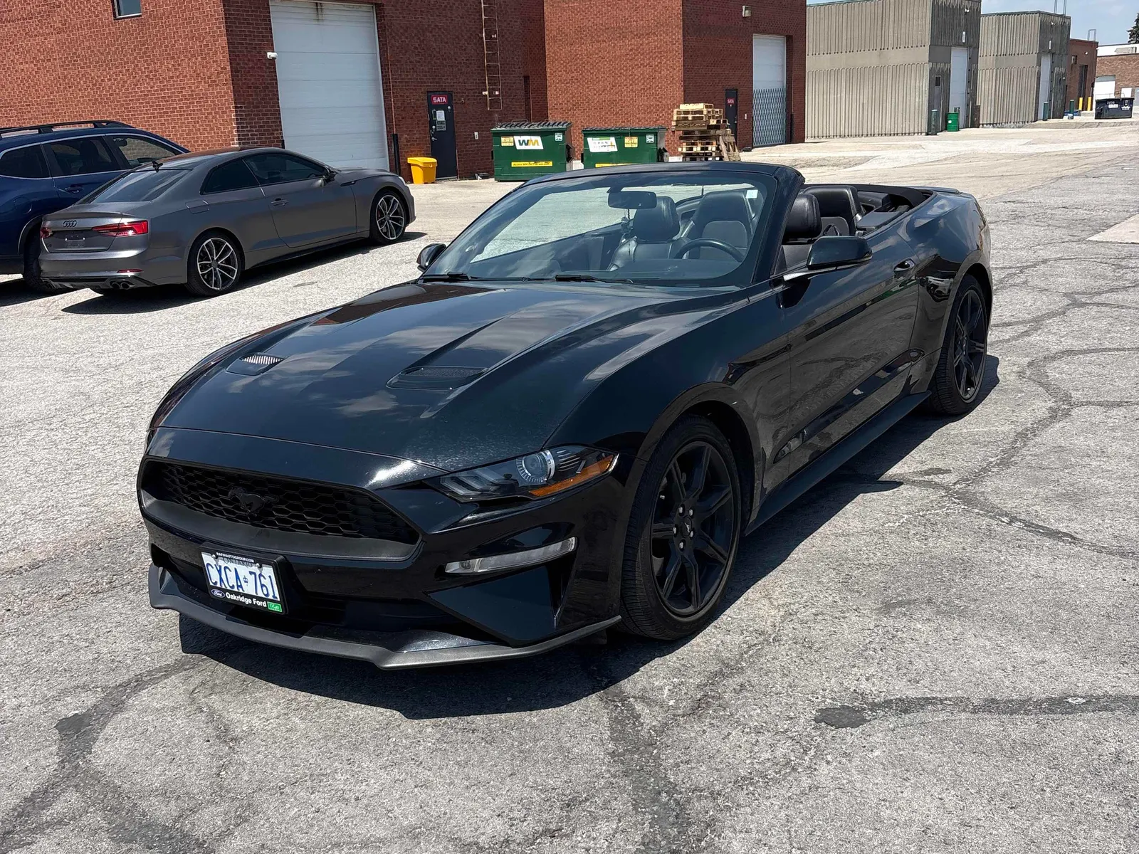 2019 Ford Mustang