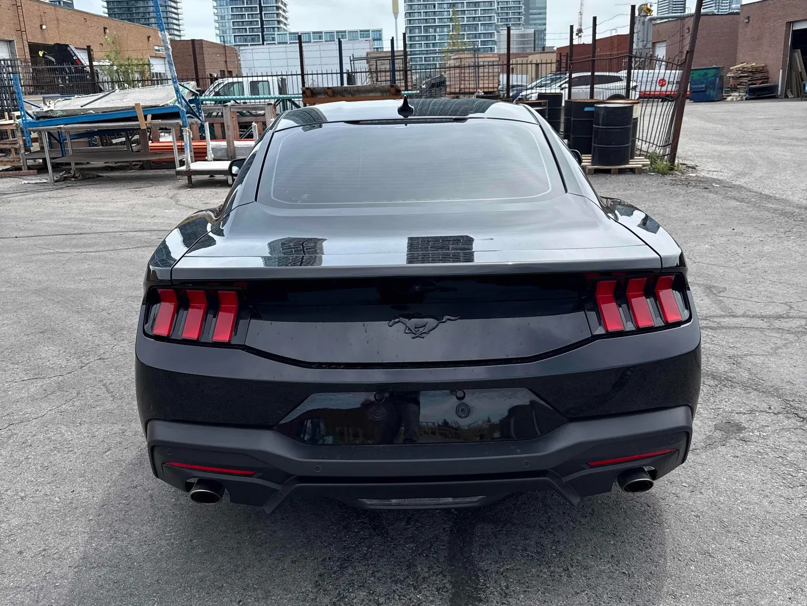 Back