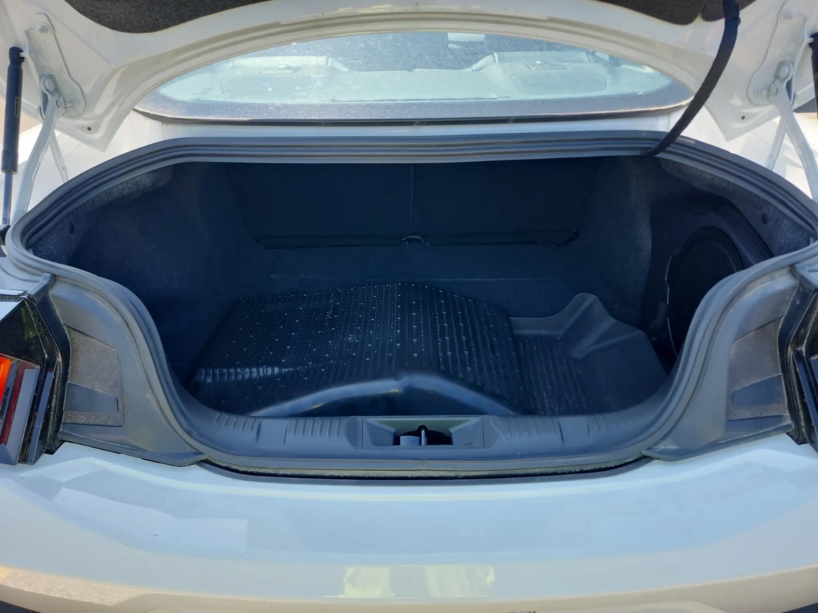 Cargo Area Photo