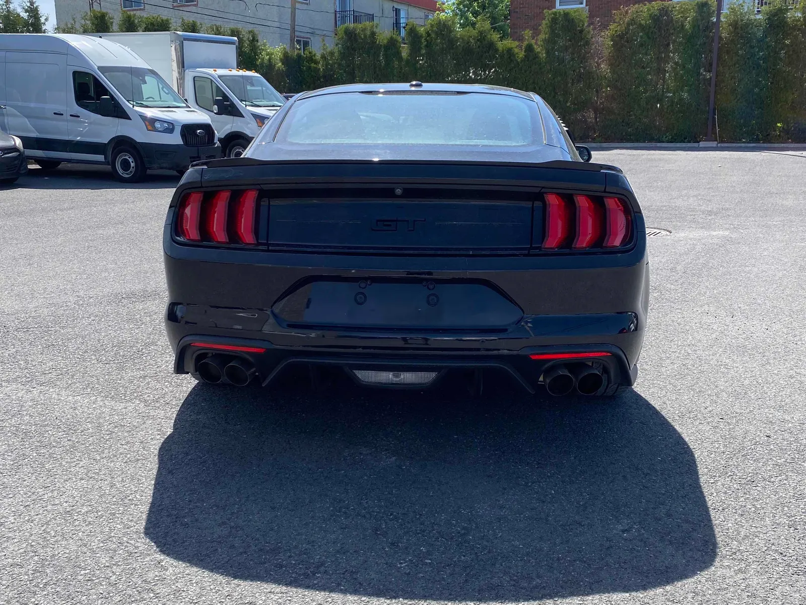 Back