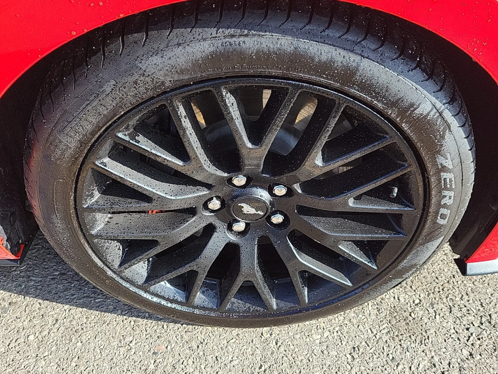 Right Front Wheel/Tire Photo