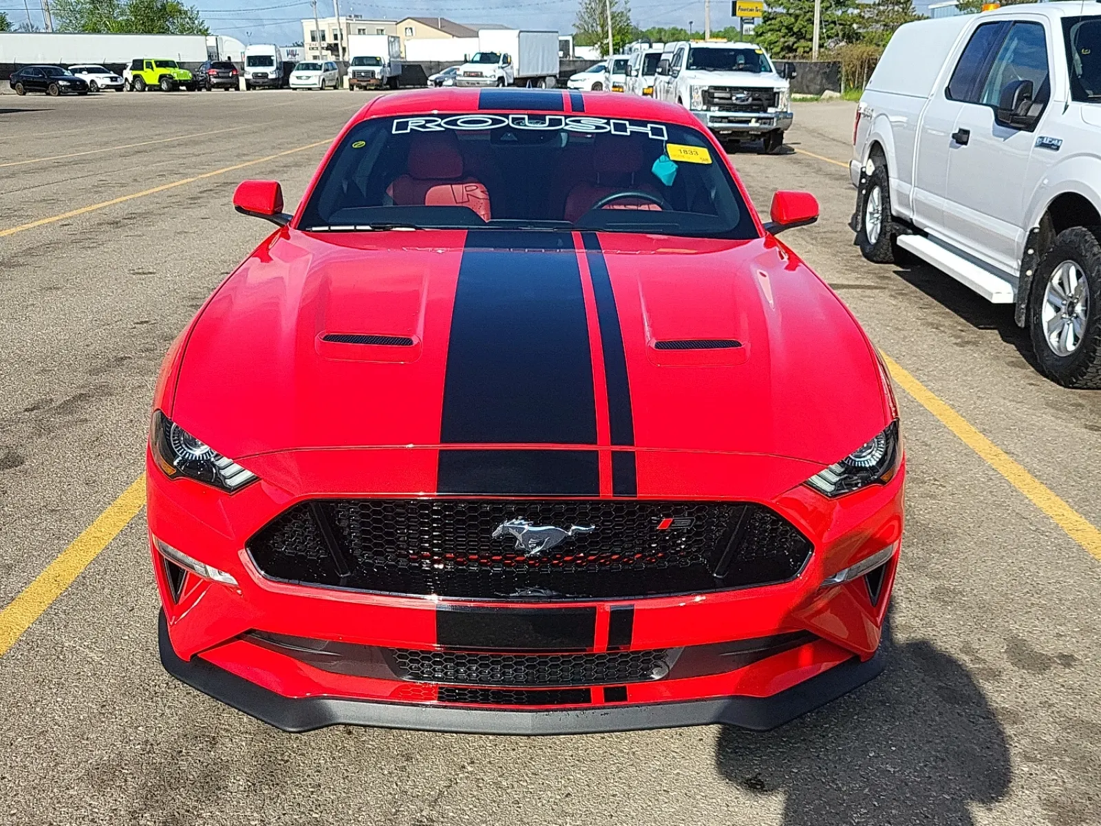 Full Front Photo