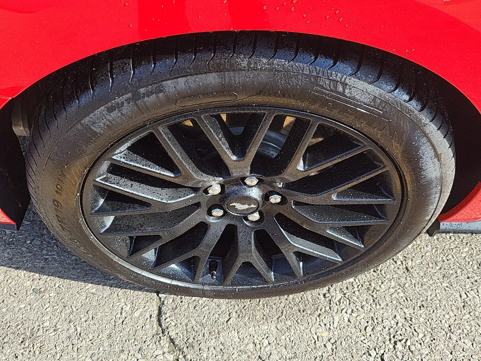 Right Rear Wheel/Tire Photo
