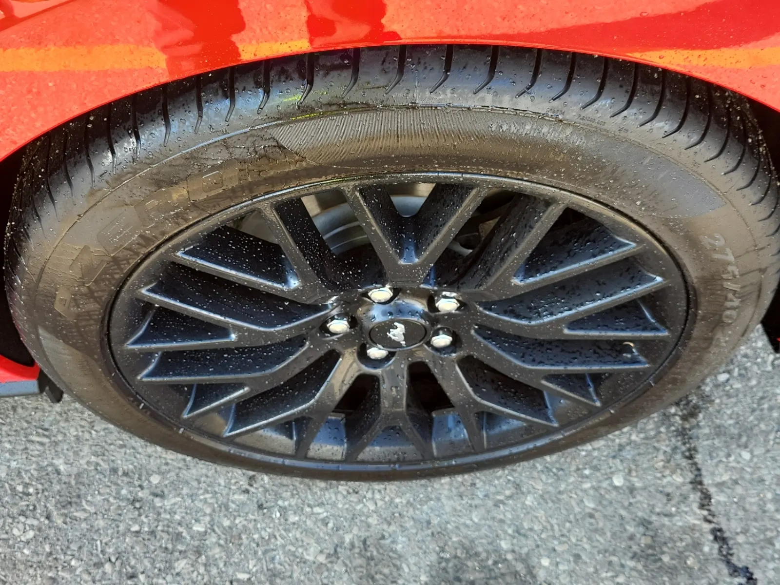 Left Rear Wheel/Tire Photo