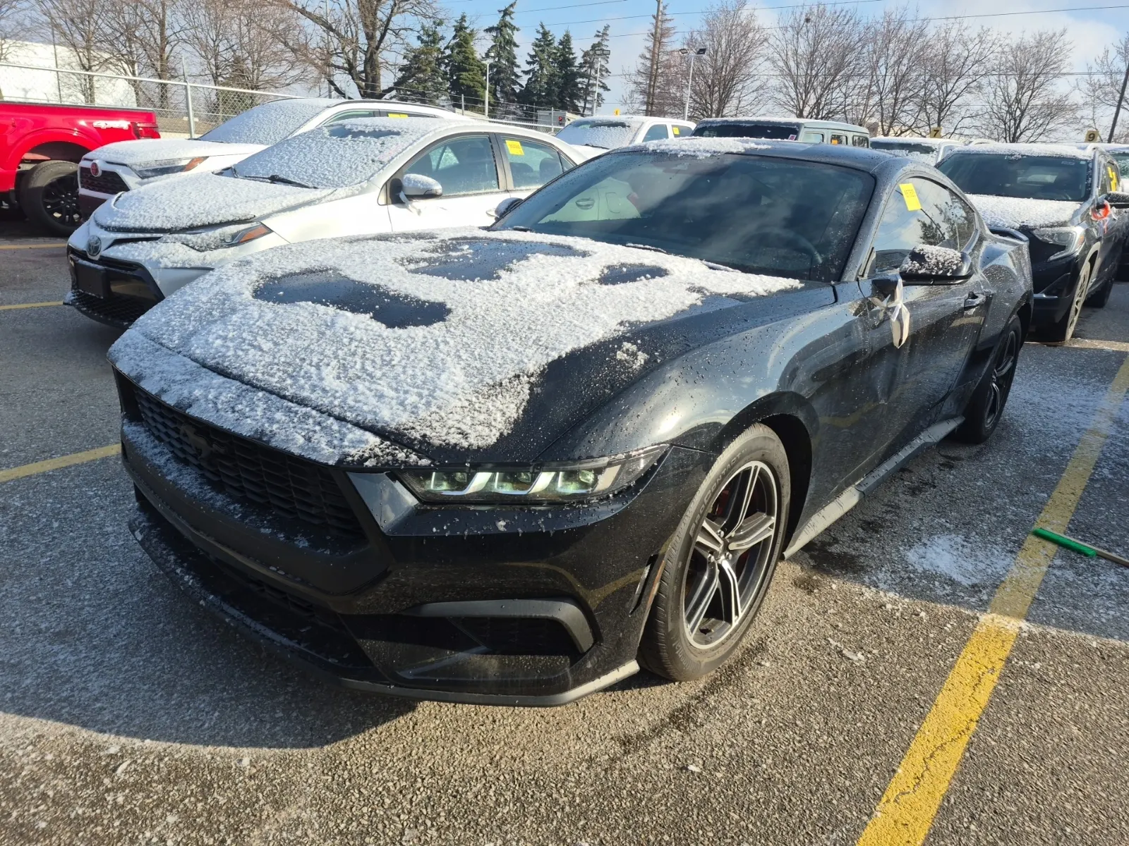 2024 Ford Mustang