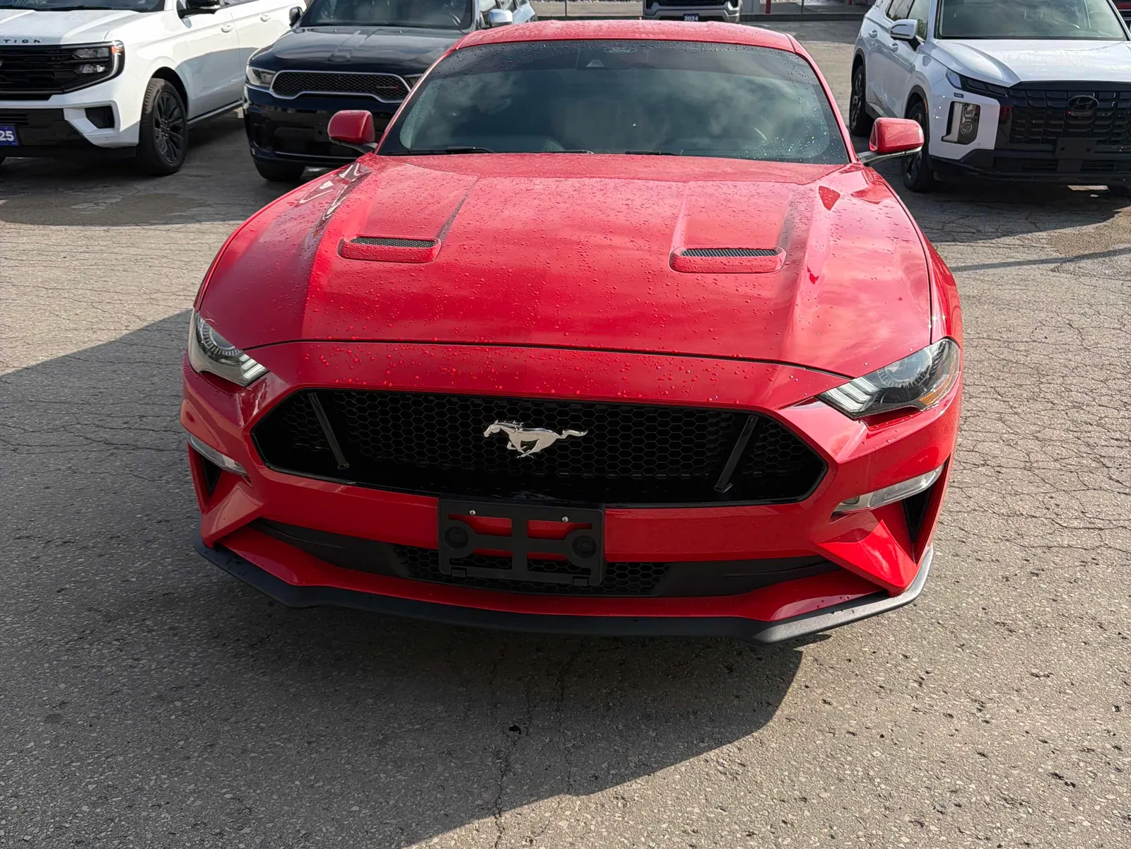 Front