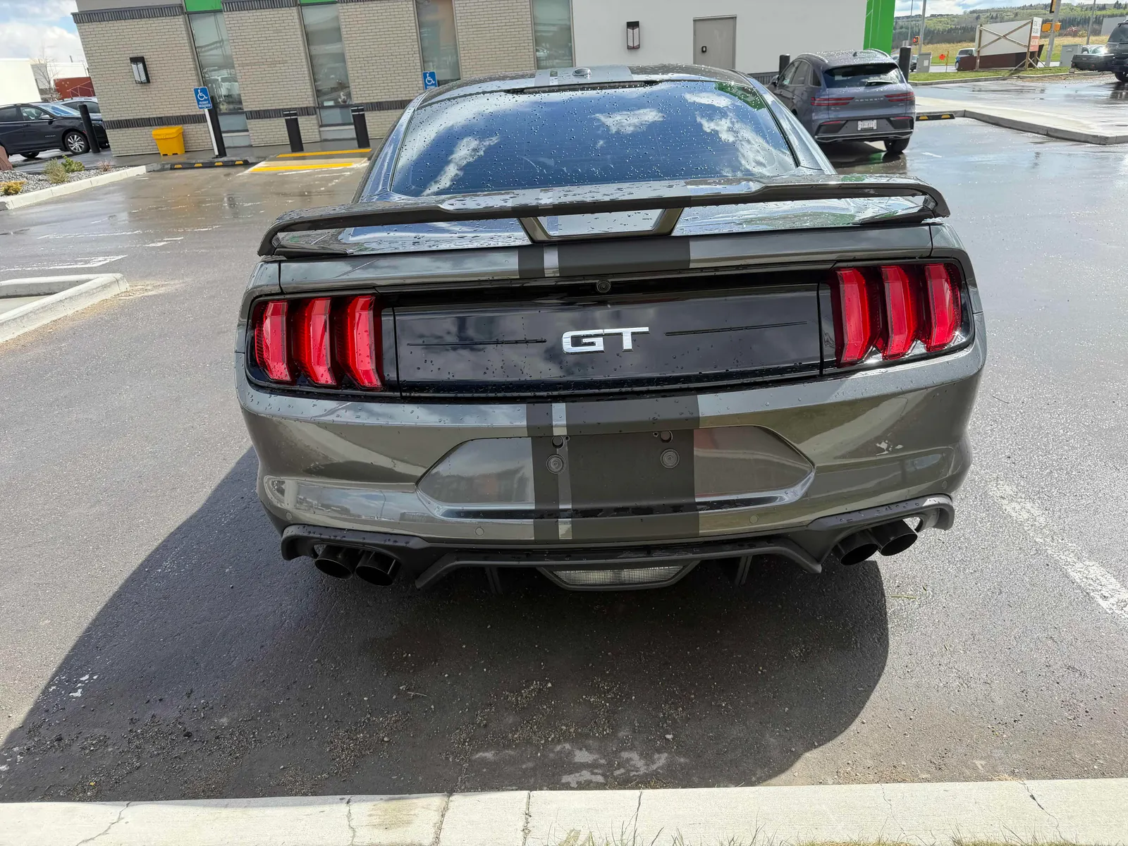 Back
