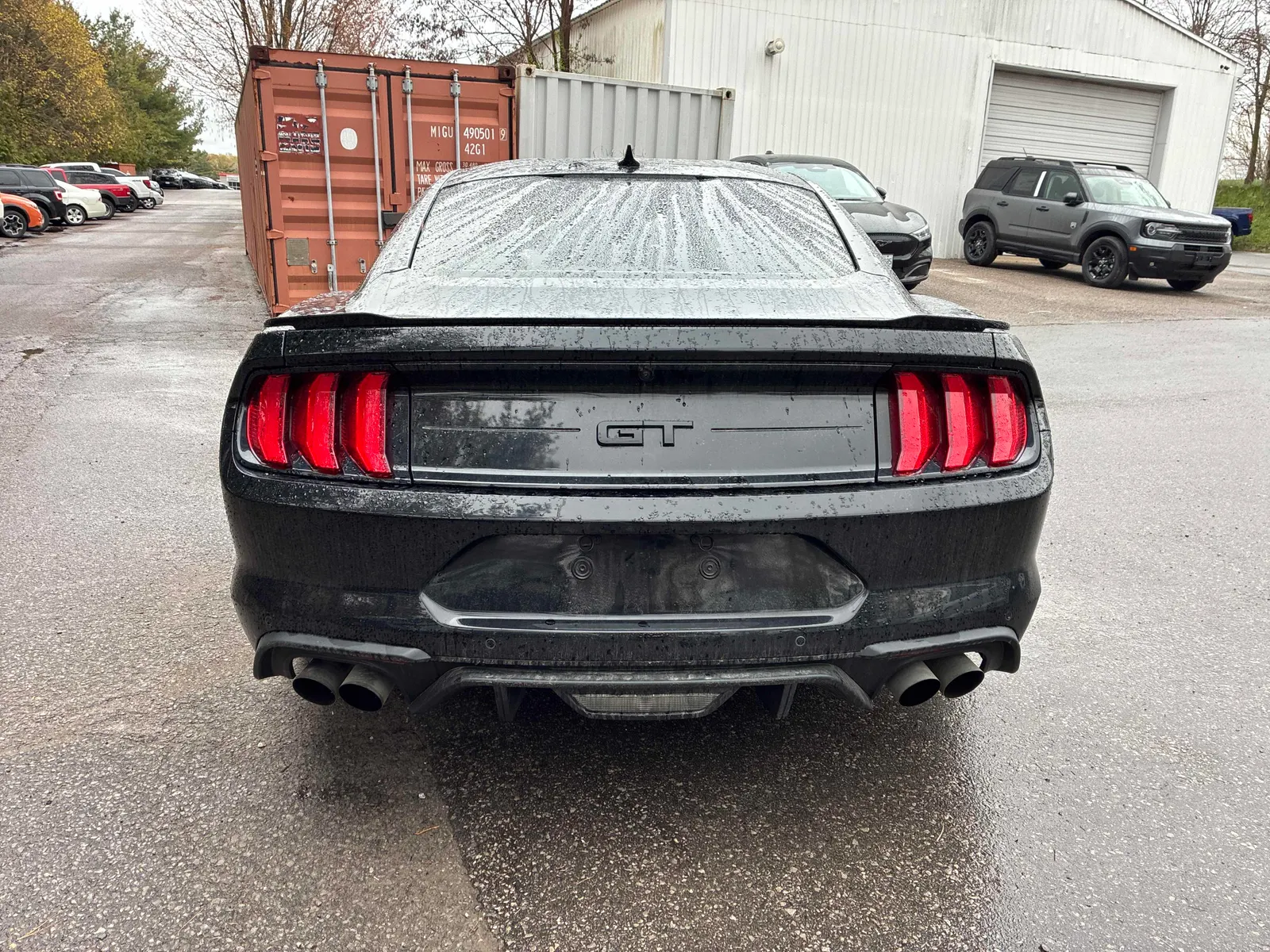 Back