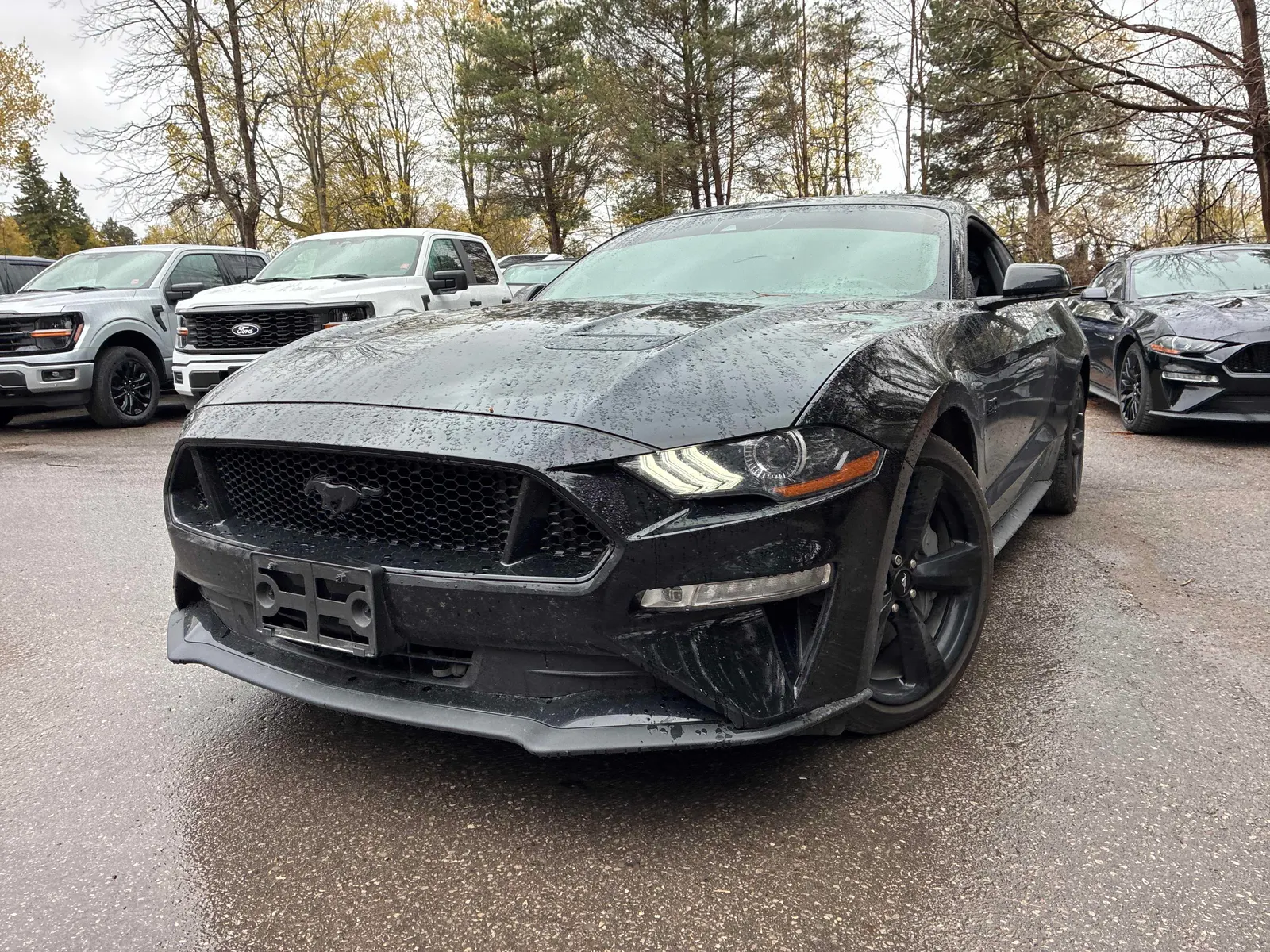 2022 Ford Mustang