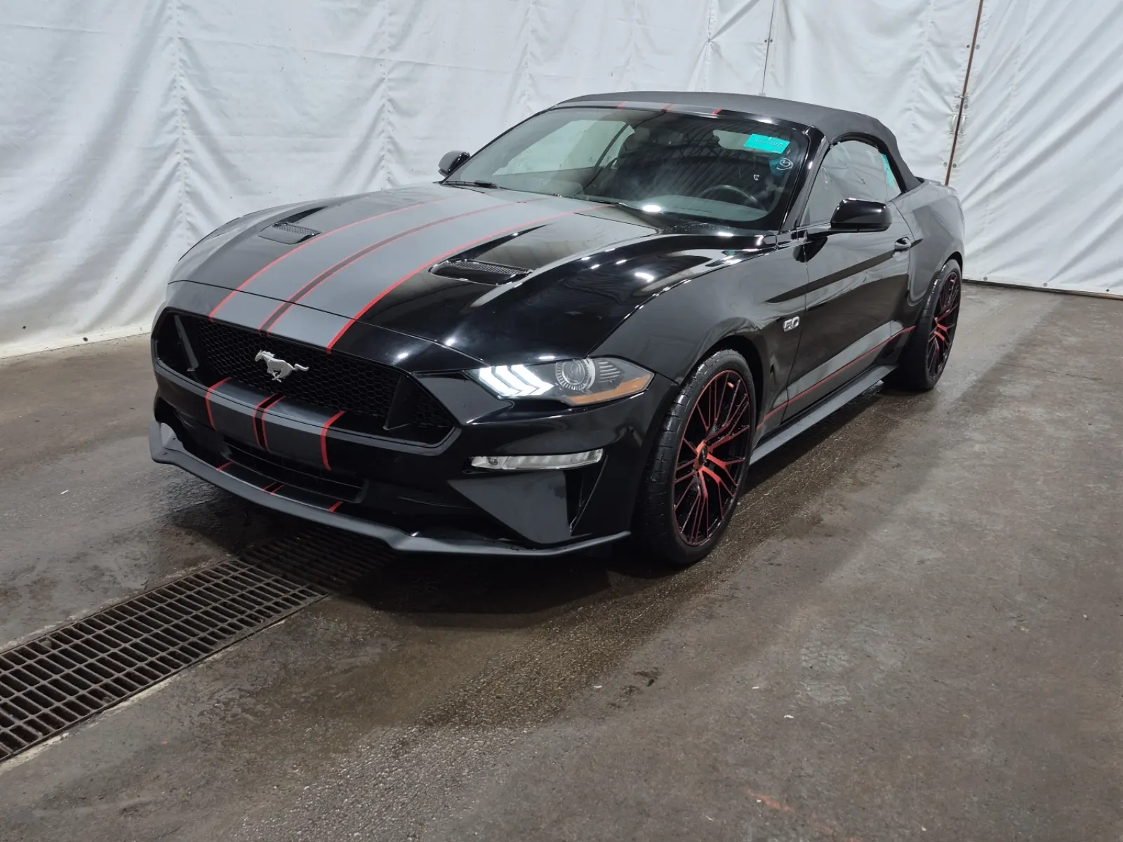 2019 Ford Mustang