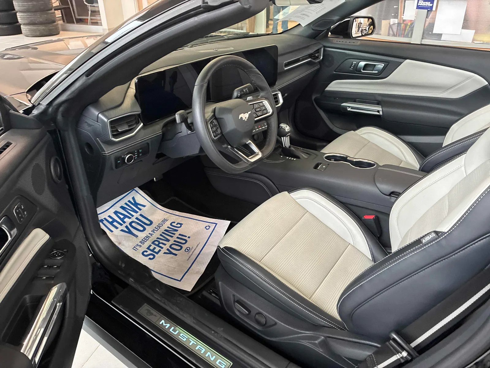 Interior driver side