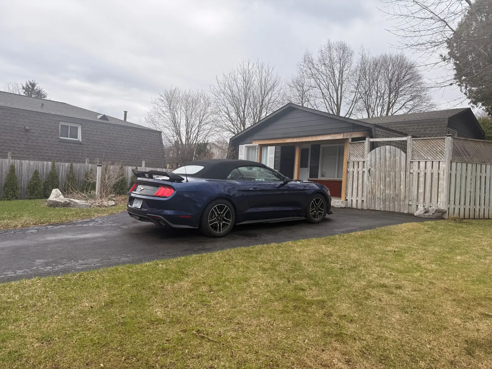 Additional Photo
