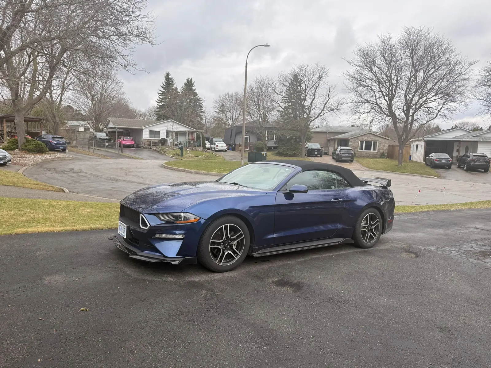 Additional Photo