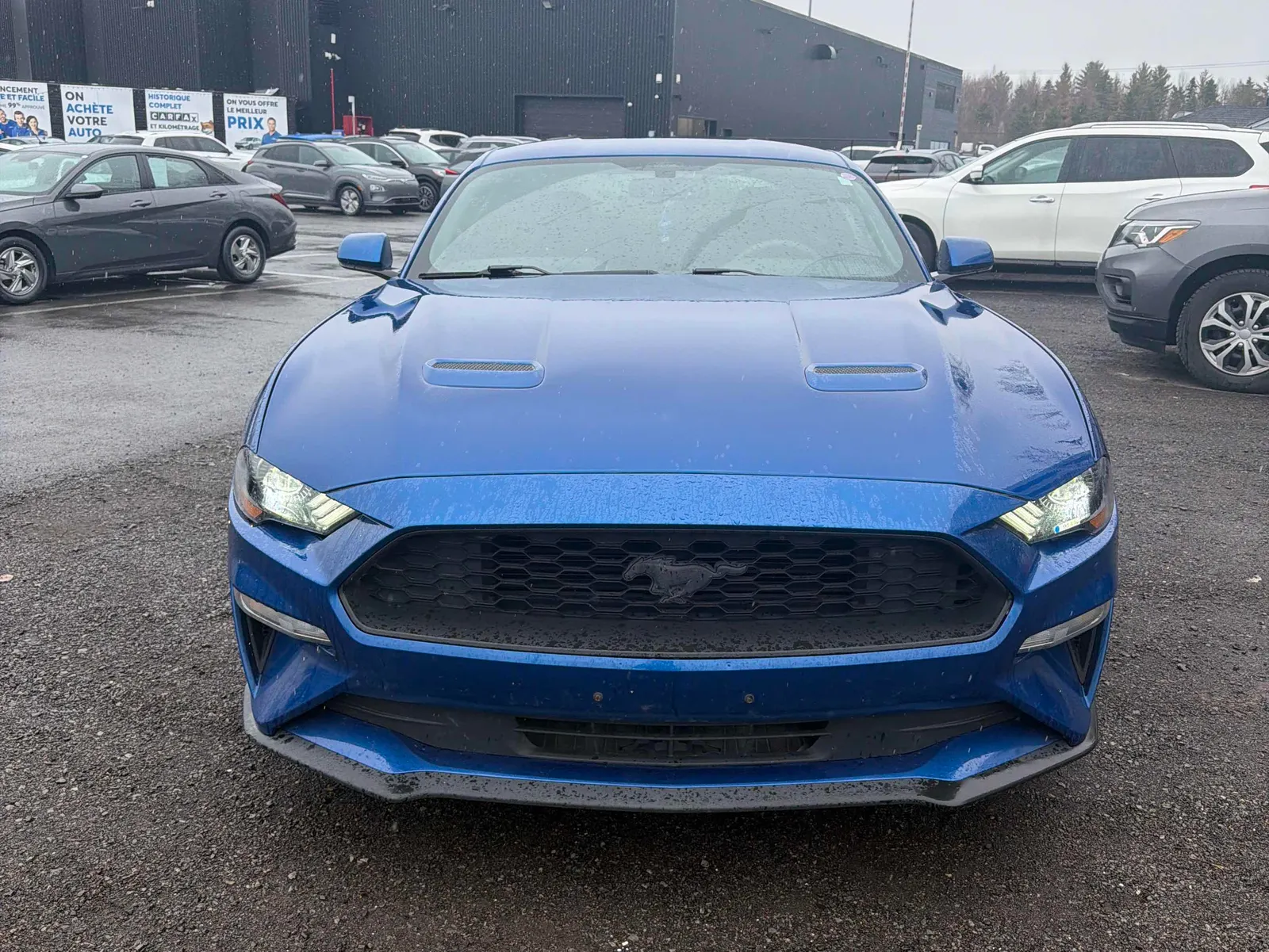 Front