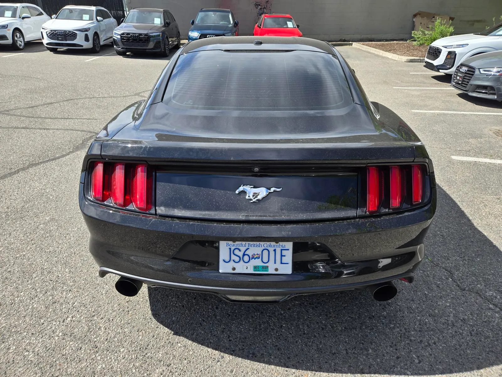 Back