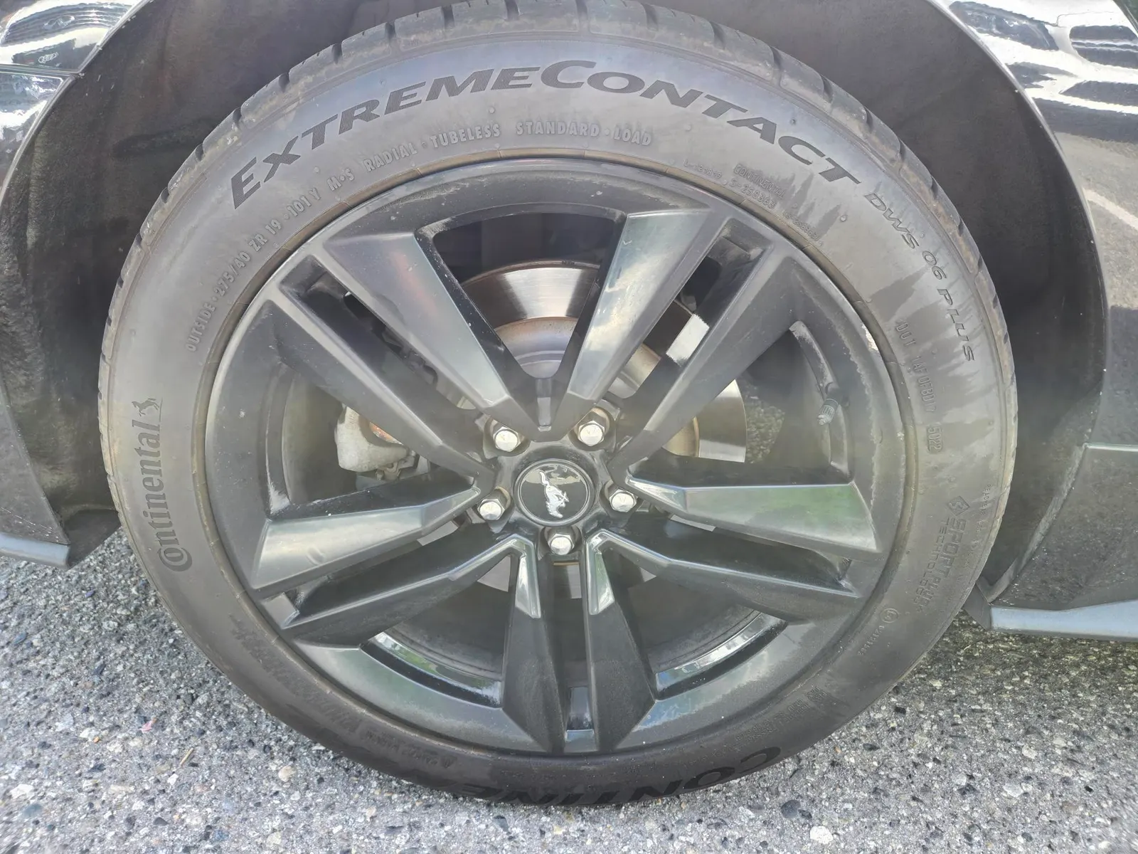 Tire