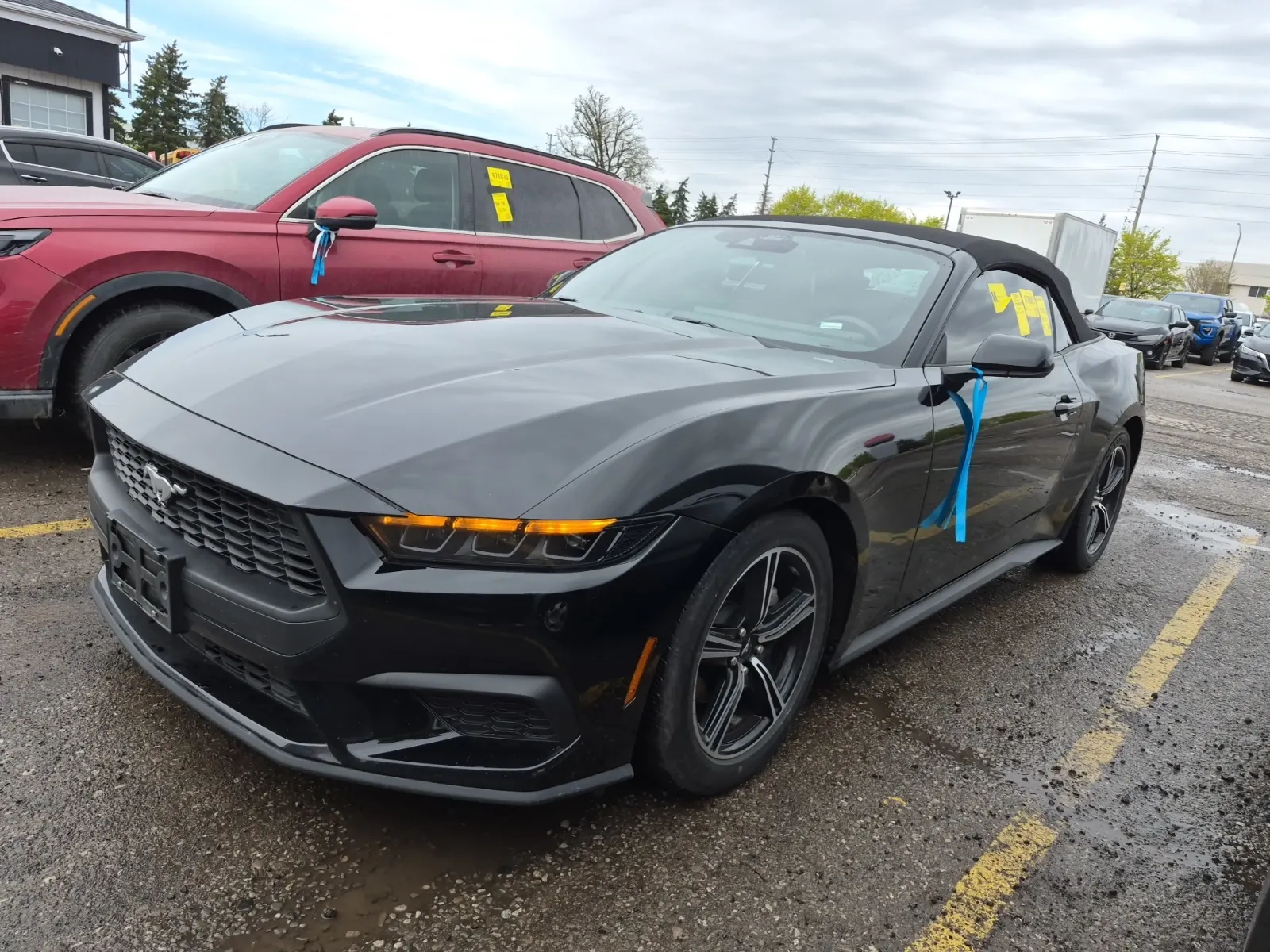 2025 Ford Mustang