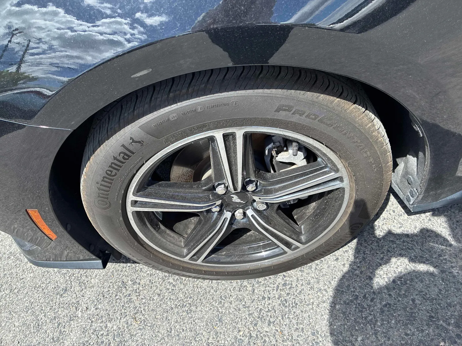Tire