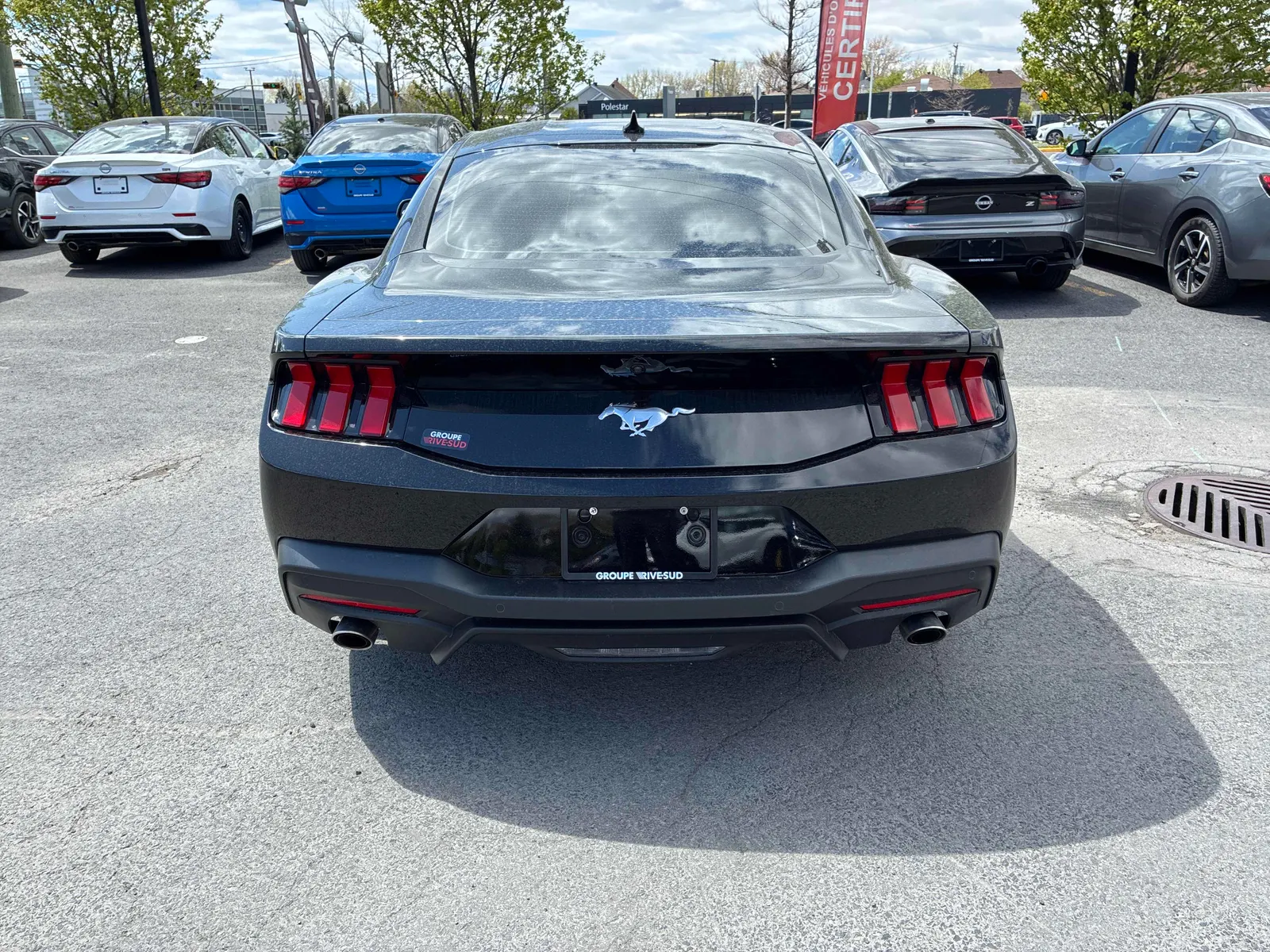 Back
