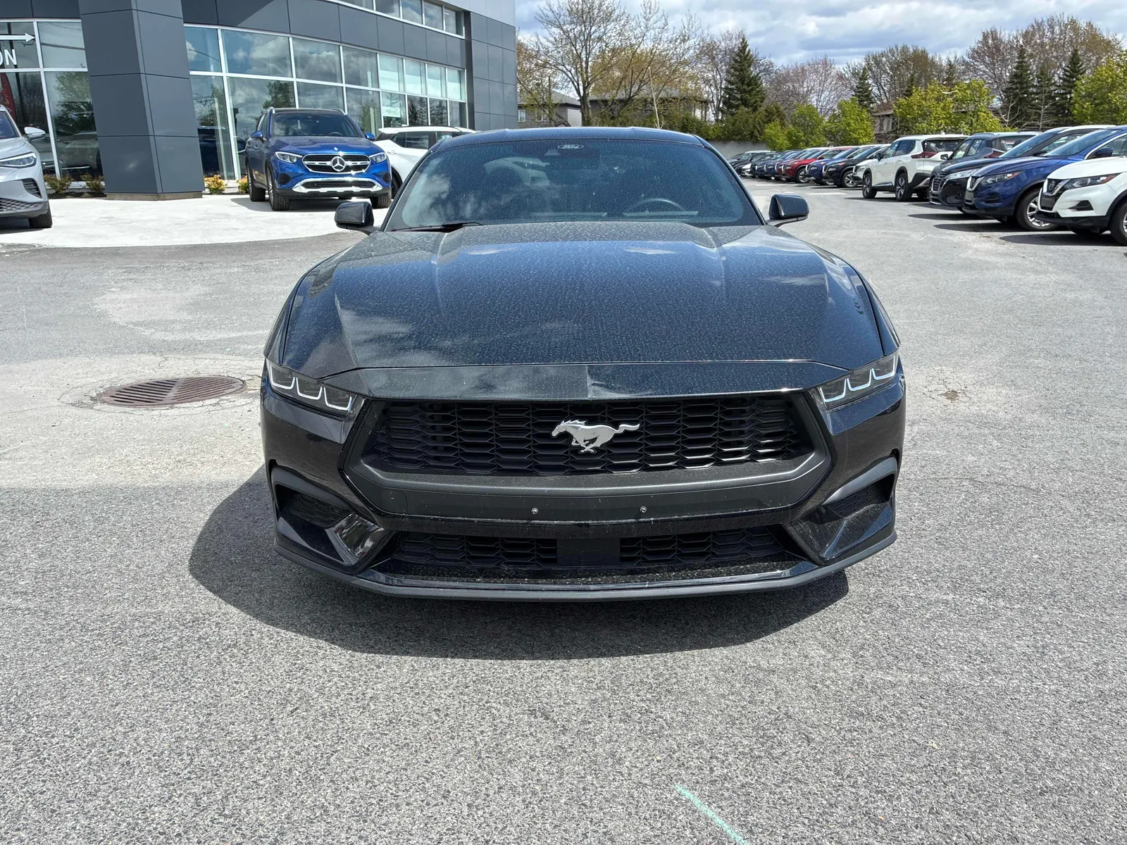 Front