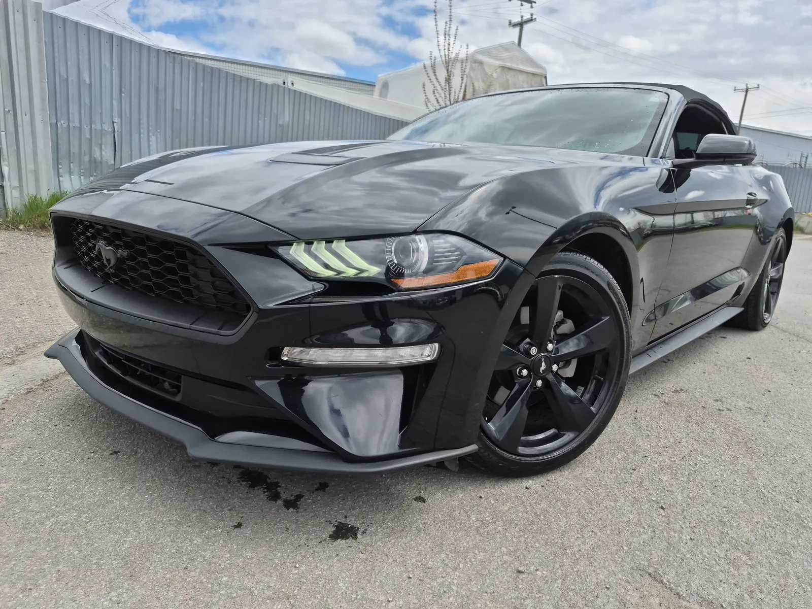 2022 Ford Mustang