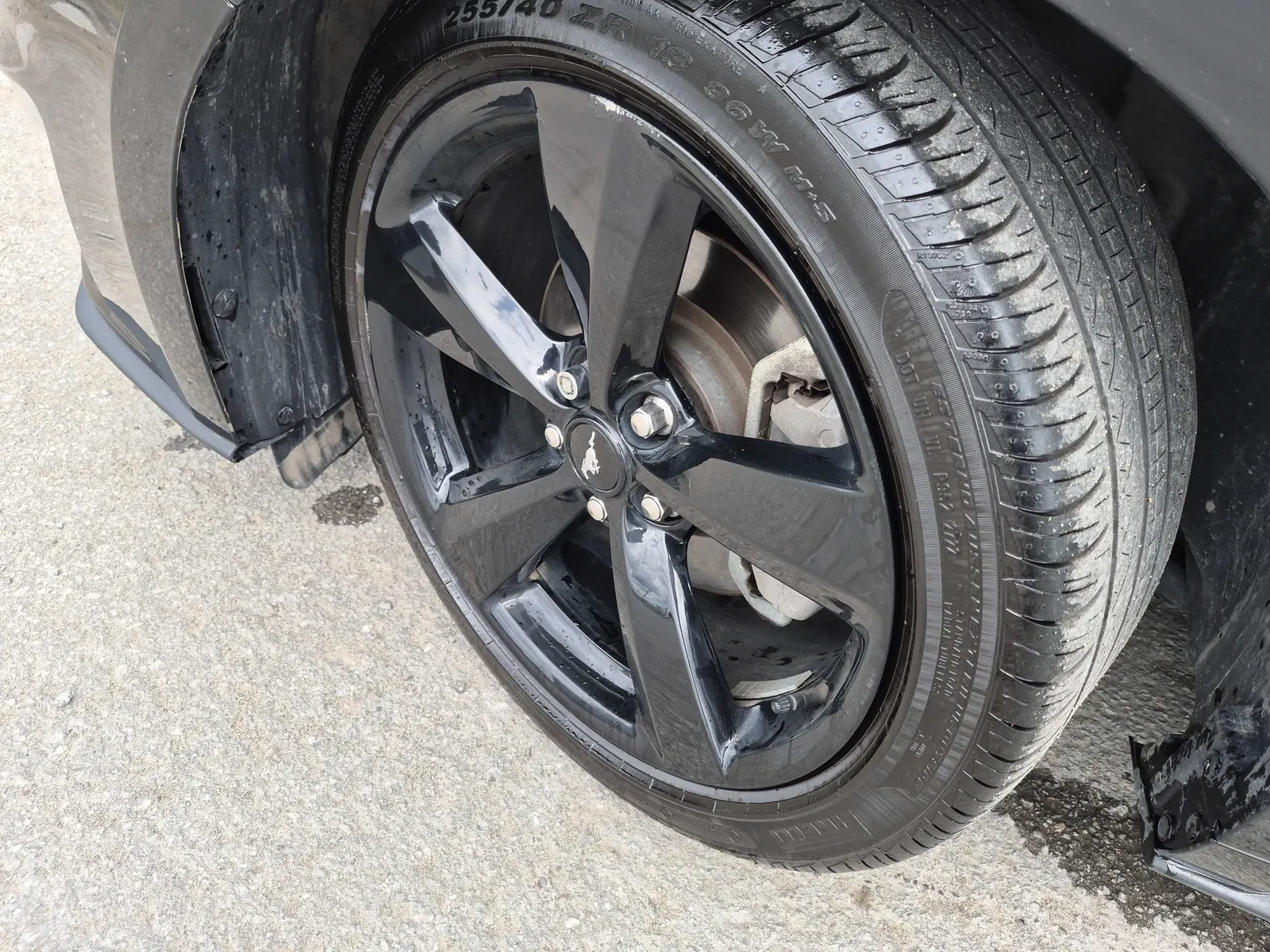 Tire