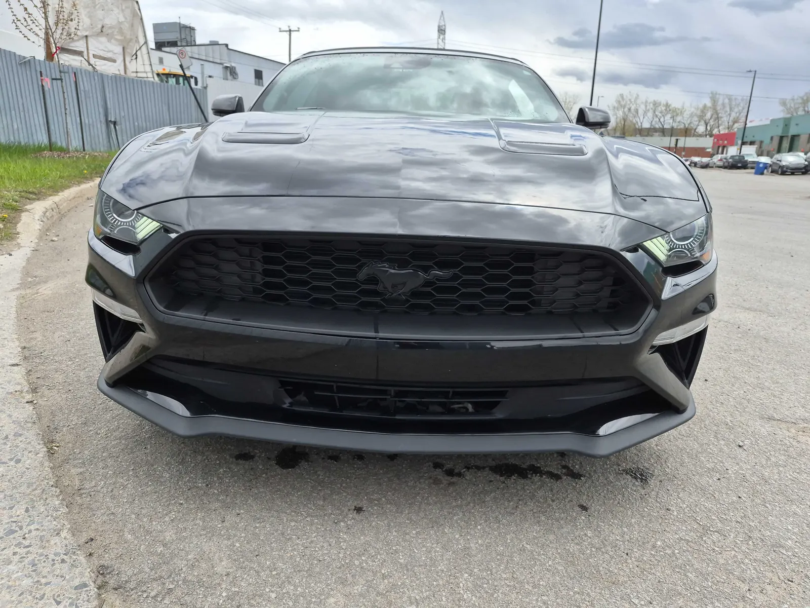 Front