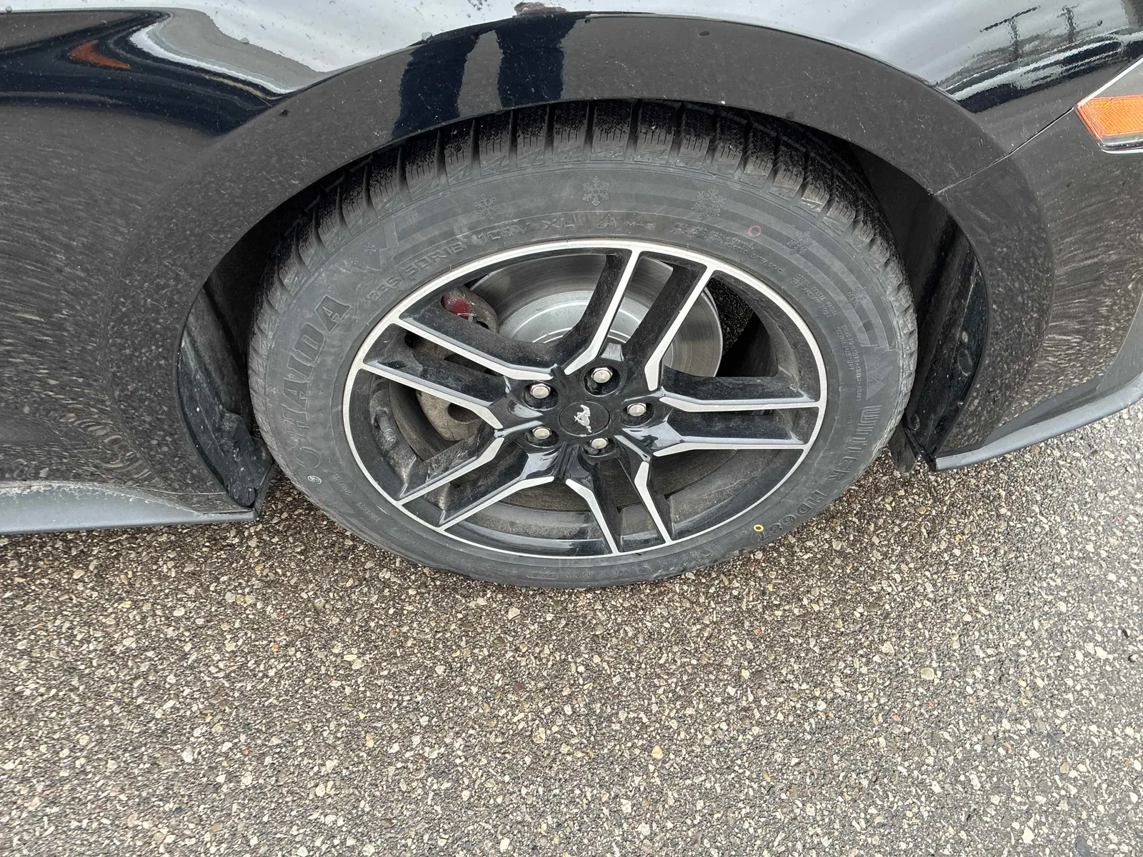 Tire