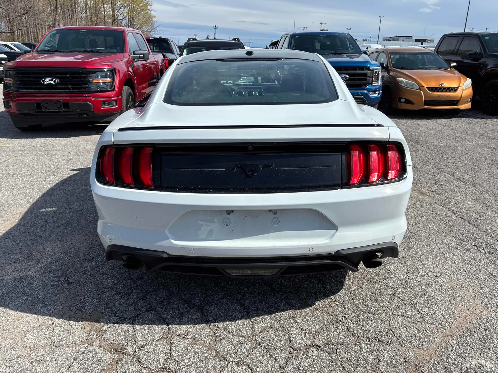 Back