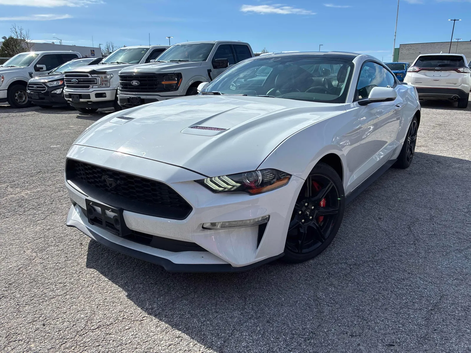 2019 Ford Mustang