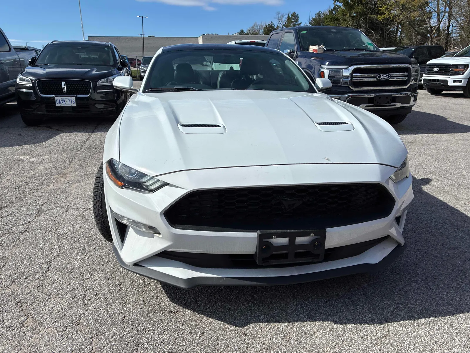 Front