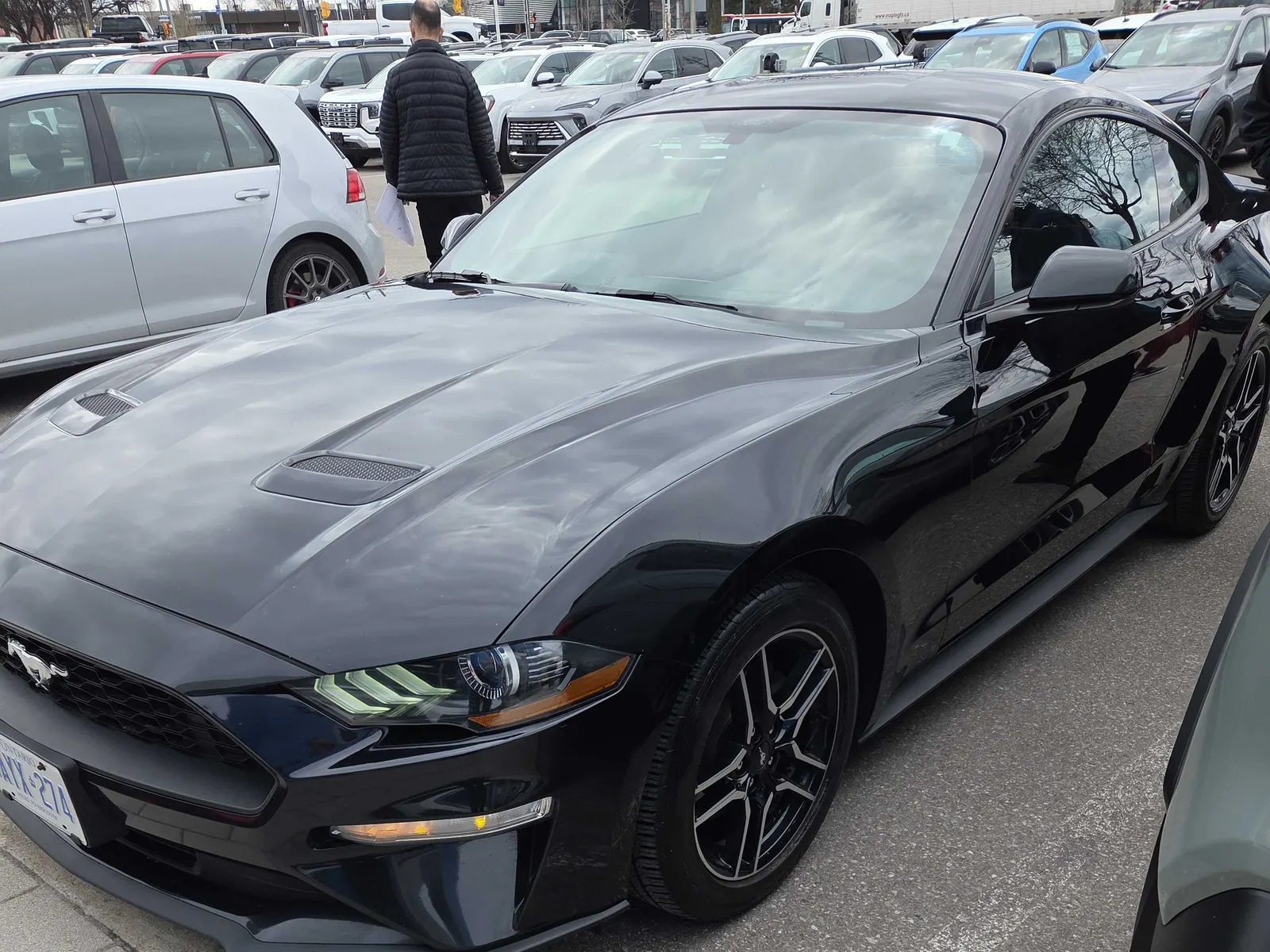 2019 Ford Mustang