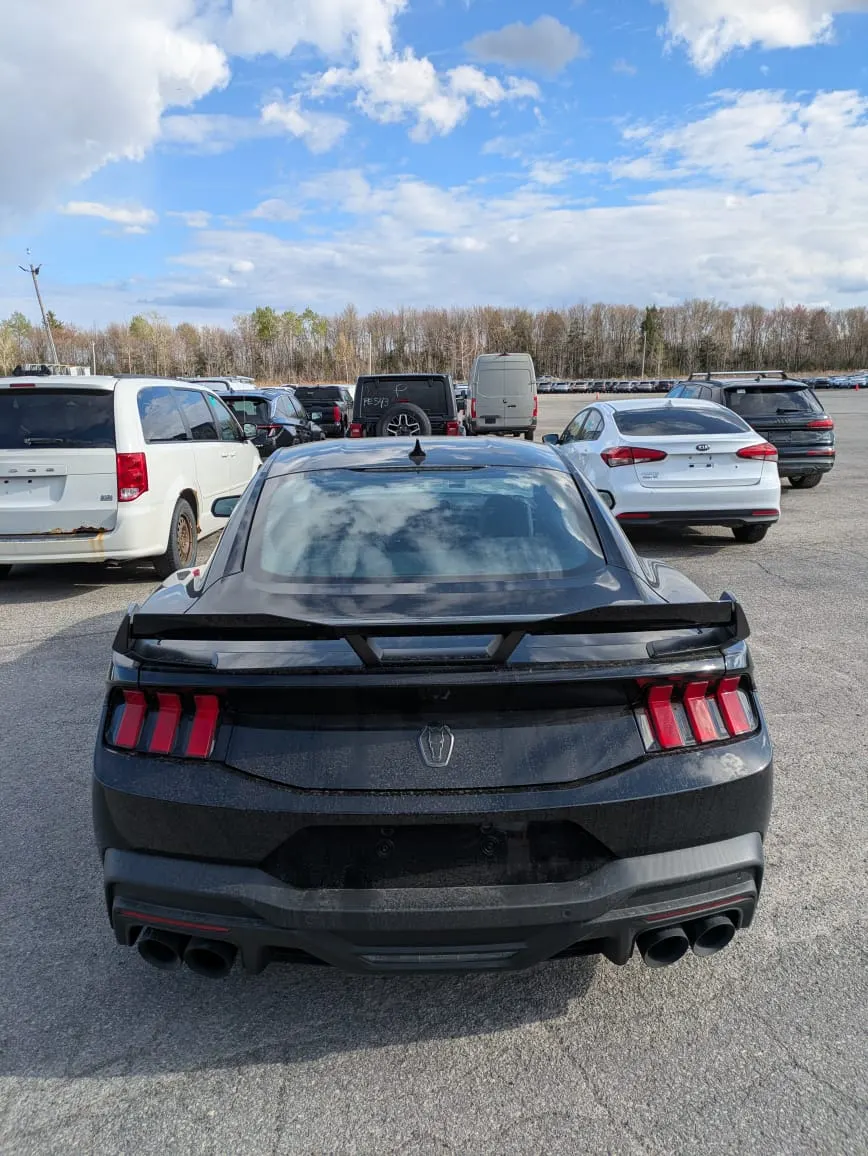 Back