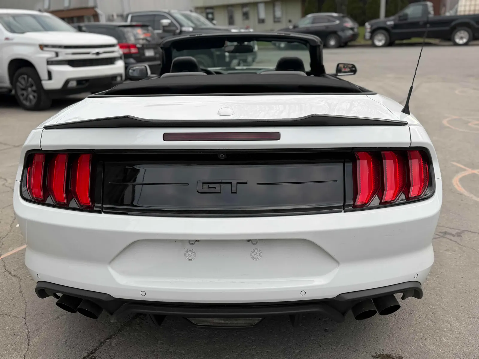 Back