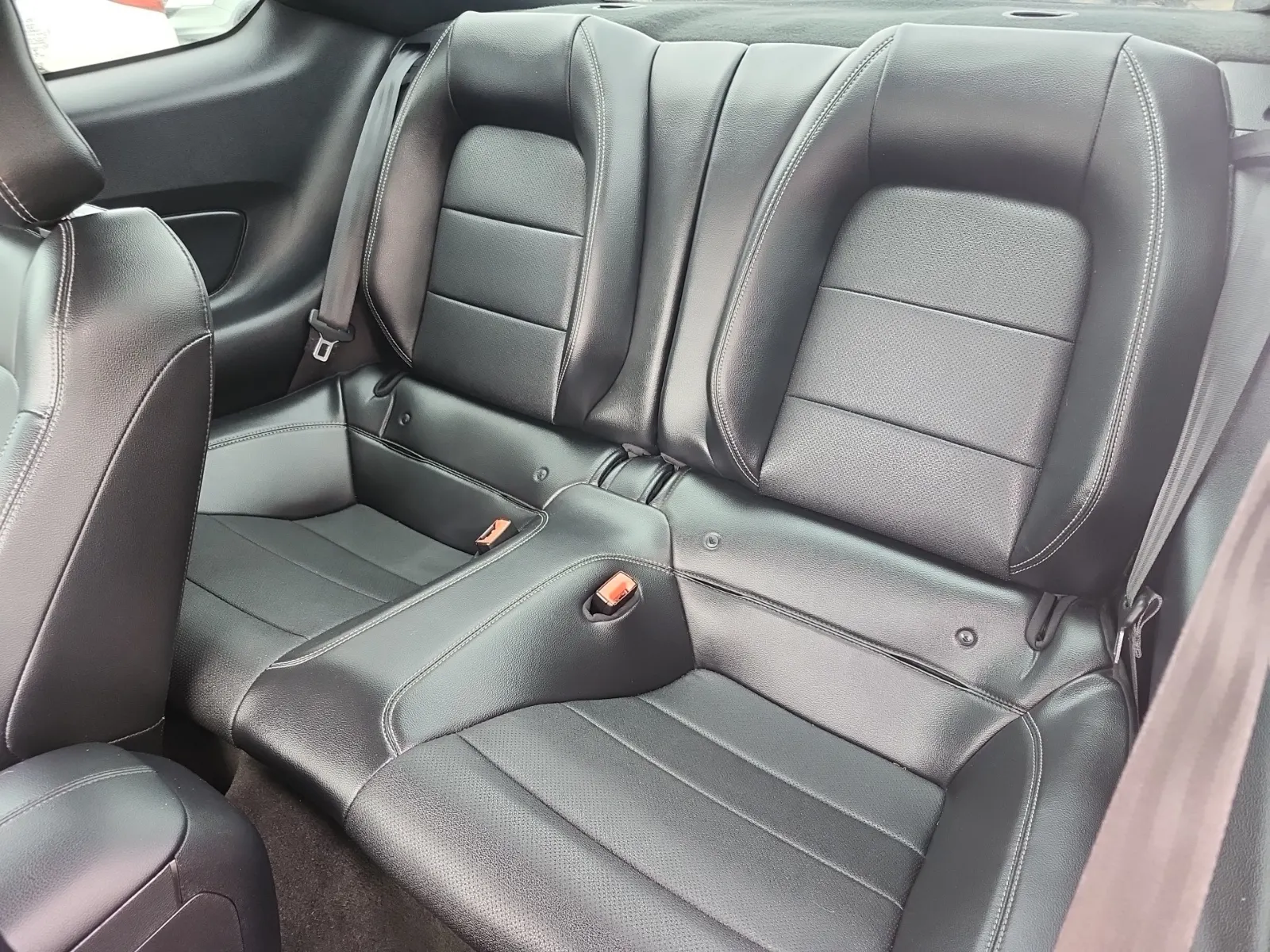 Rear Interior Photo