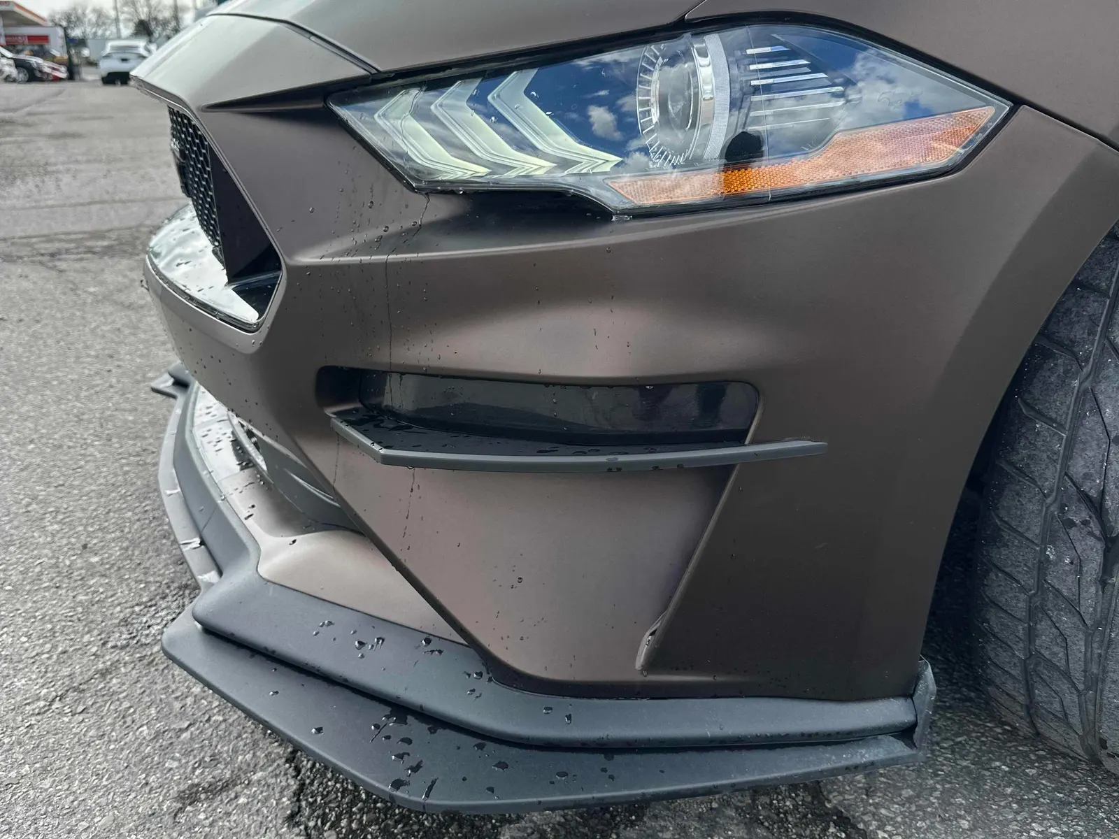 Additional Photo
