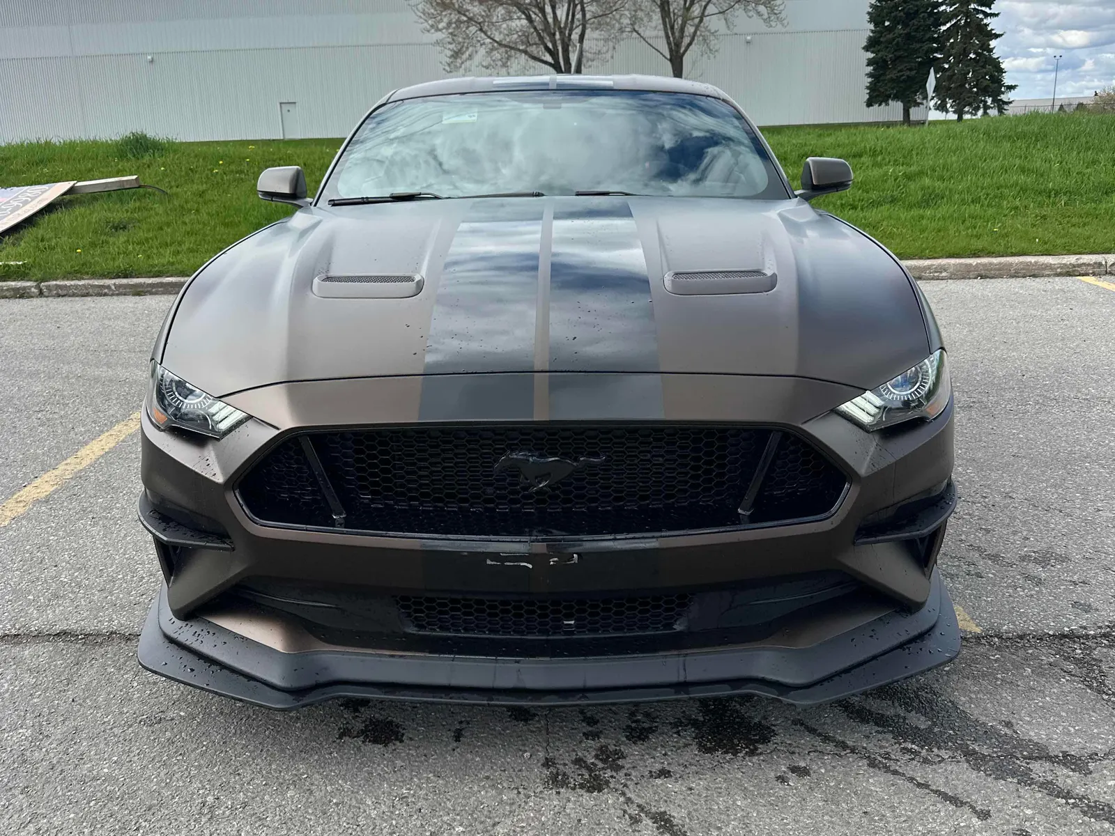 Front