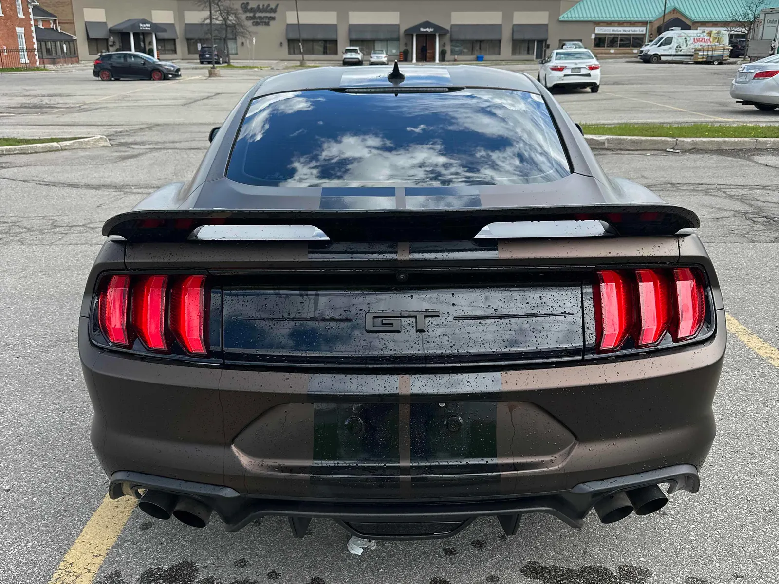 Back
